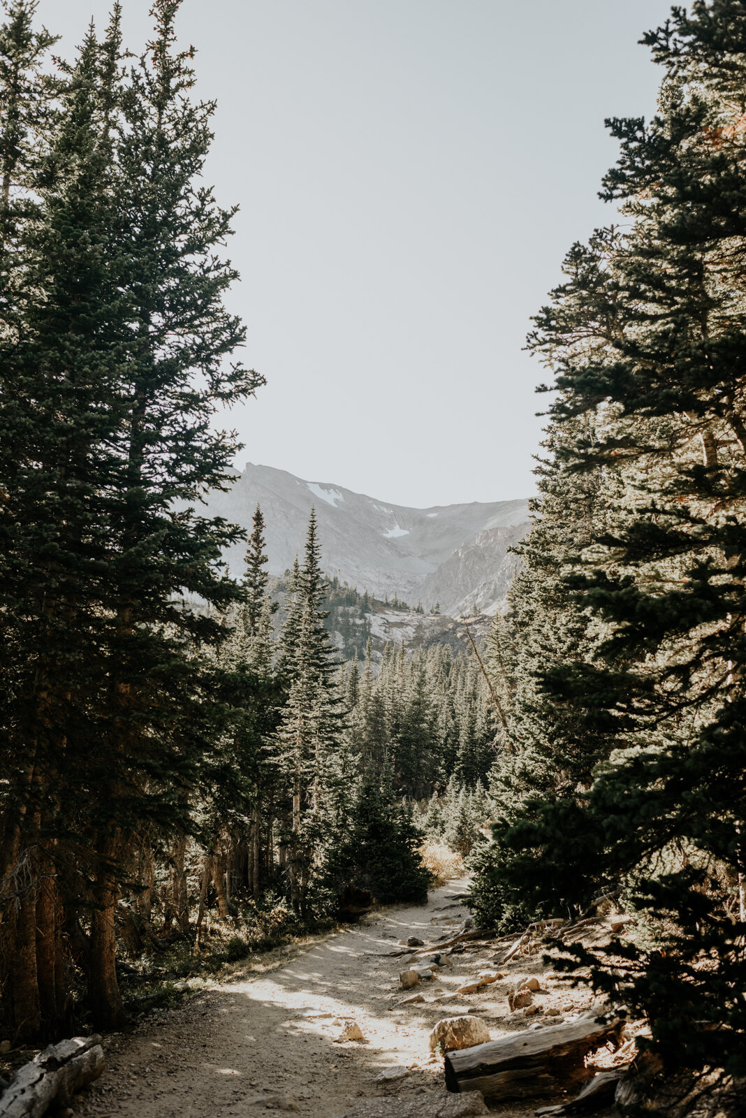 Anniversary Session in Indian Peaks Wilderness Area in Ward, CO