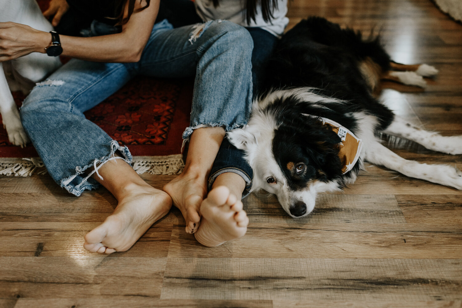 Austin, Texas Engagement Photography