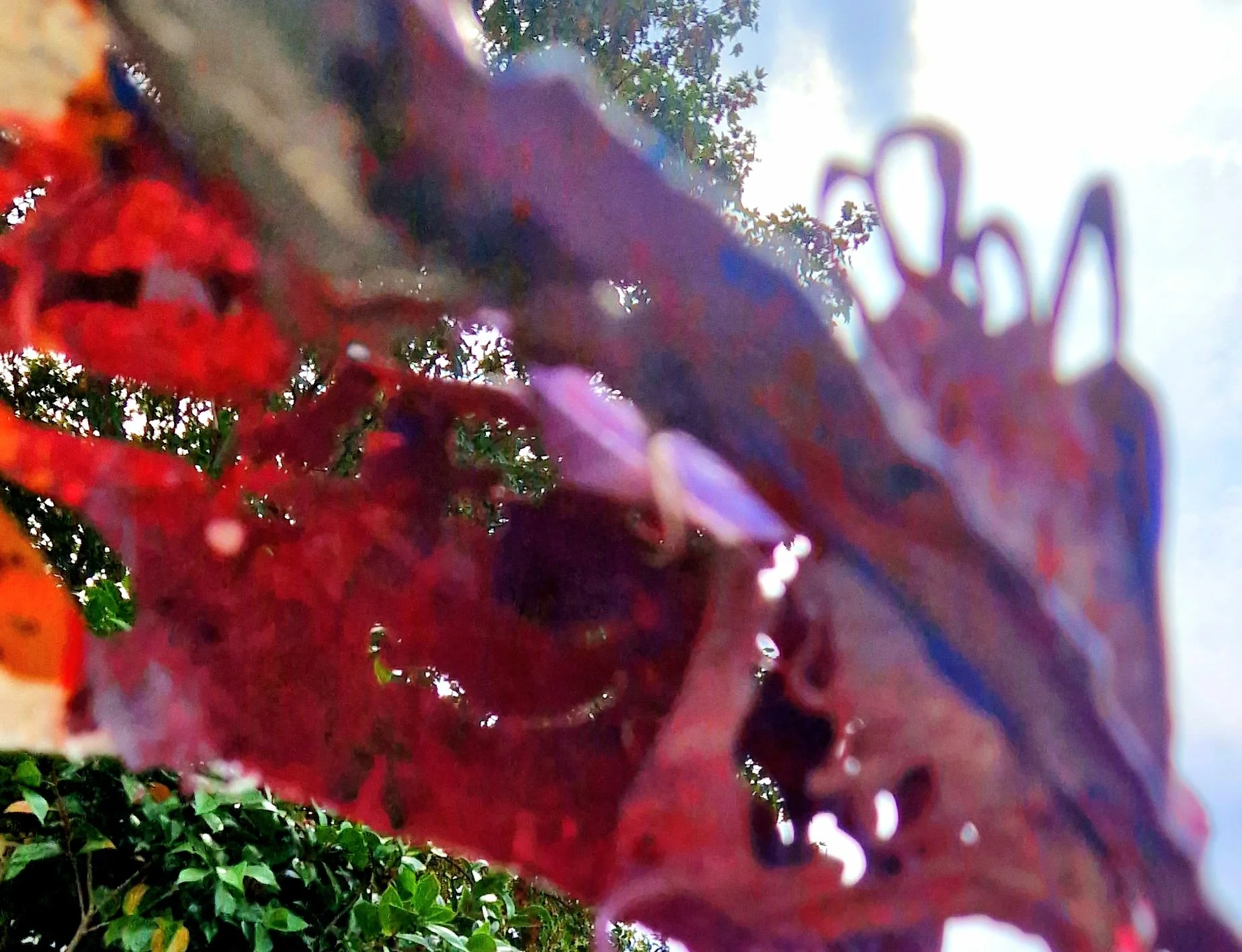 20260816_130454.jpg
