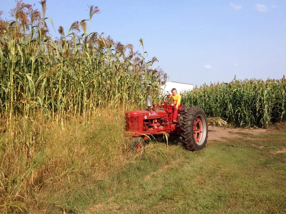 11 tim on the tractor.jpg