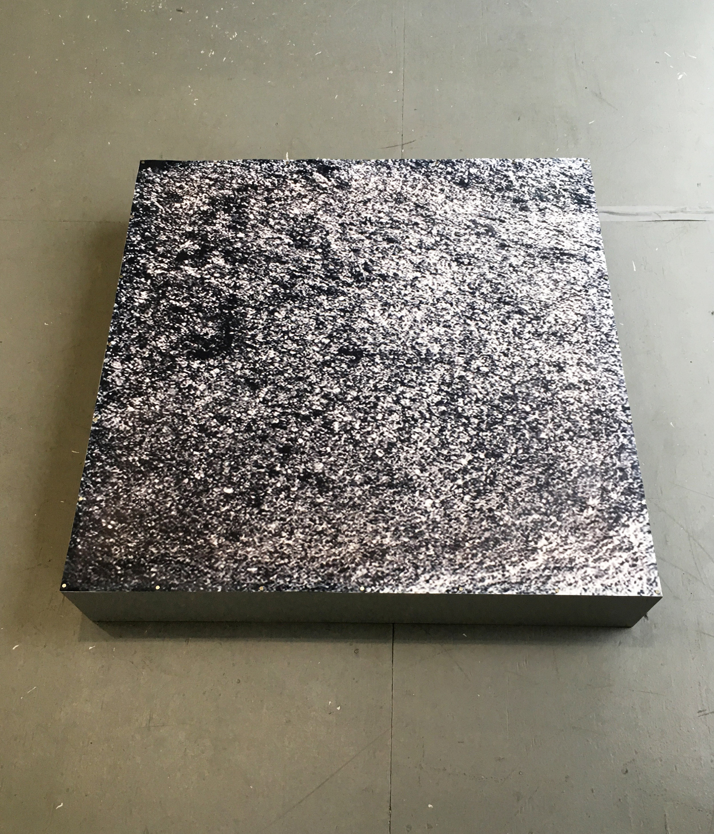 To become a dumb image which quivers for a moment and disappears in silence 