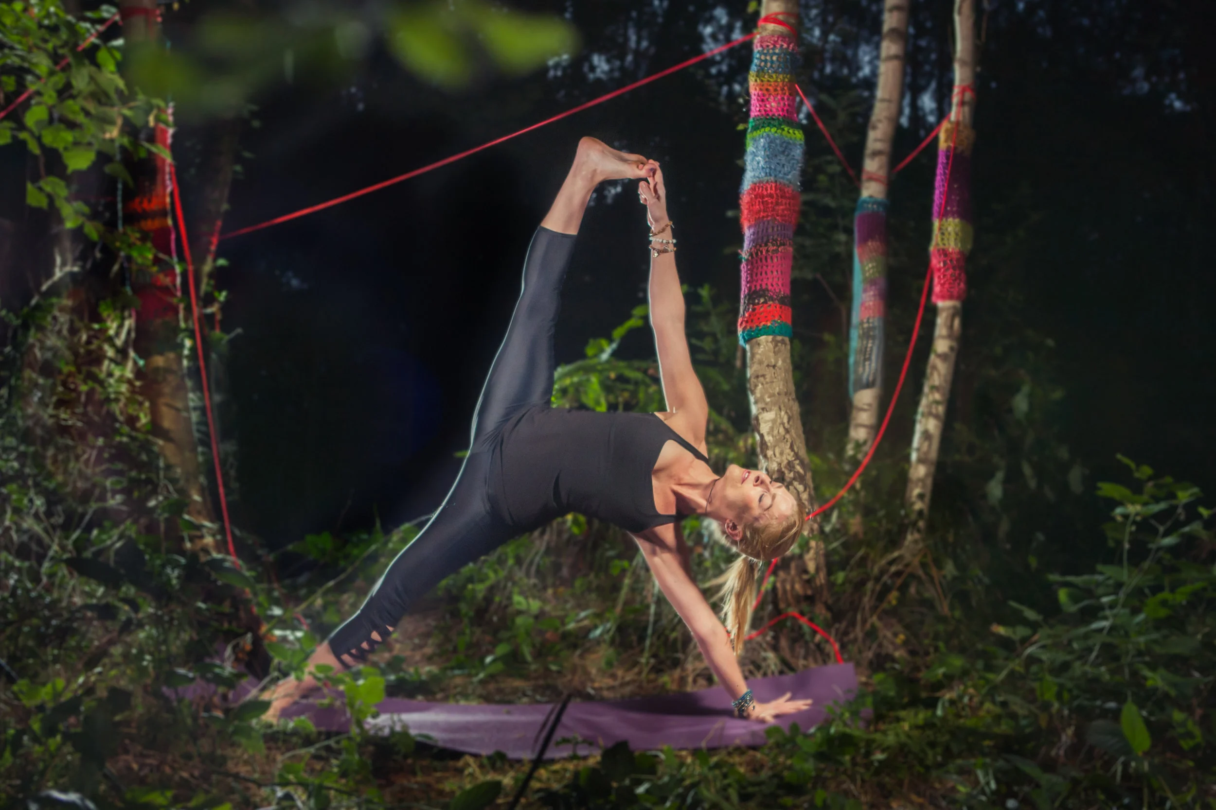 Just Love Yoga - Visvamitrasana.jpg
