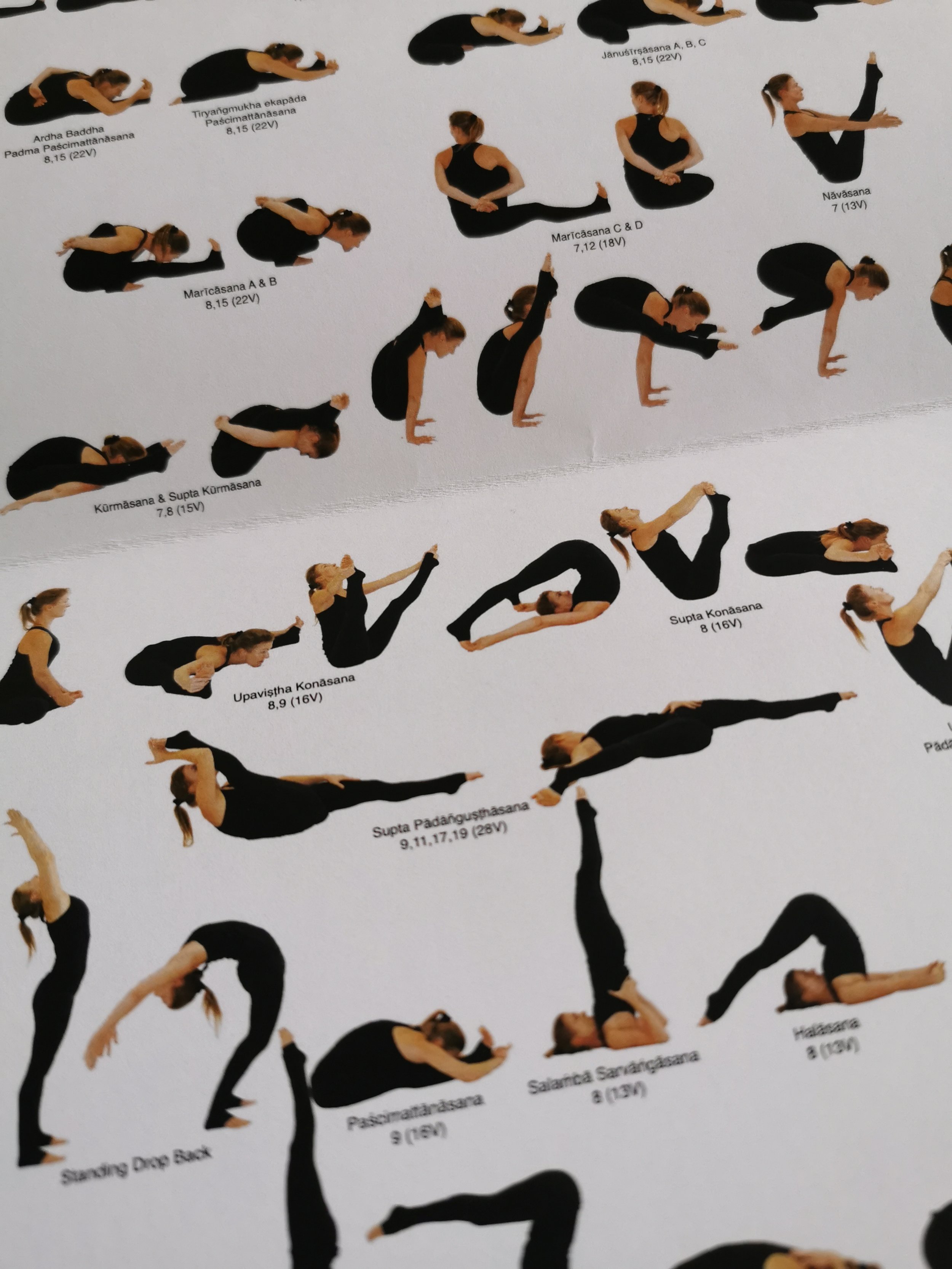 Ashtanga vinyasa yoga Asana Vinyāsa Posture, peak flow chart, png | PNGEgg