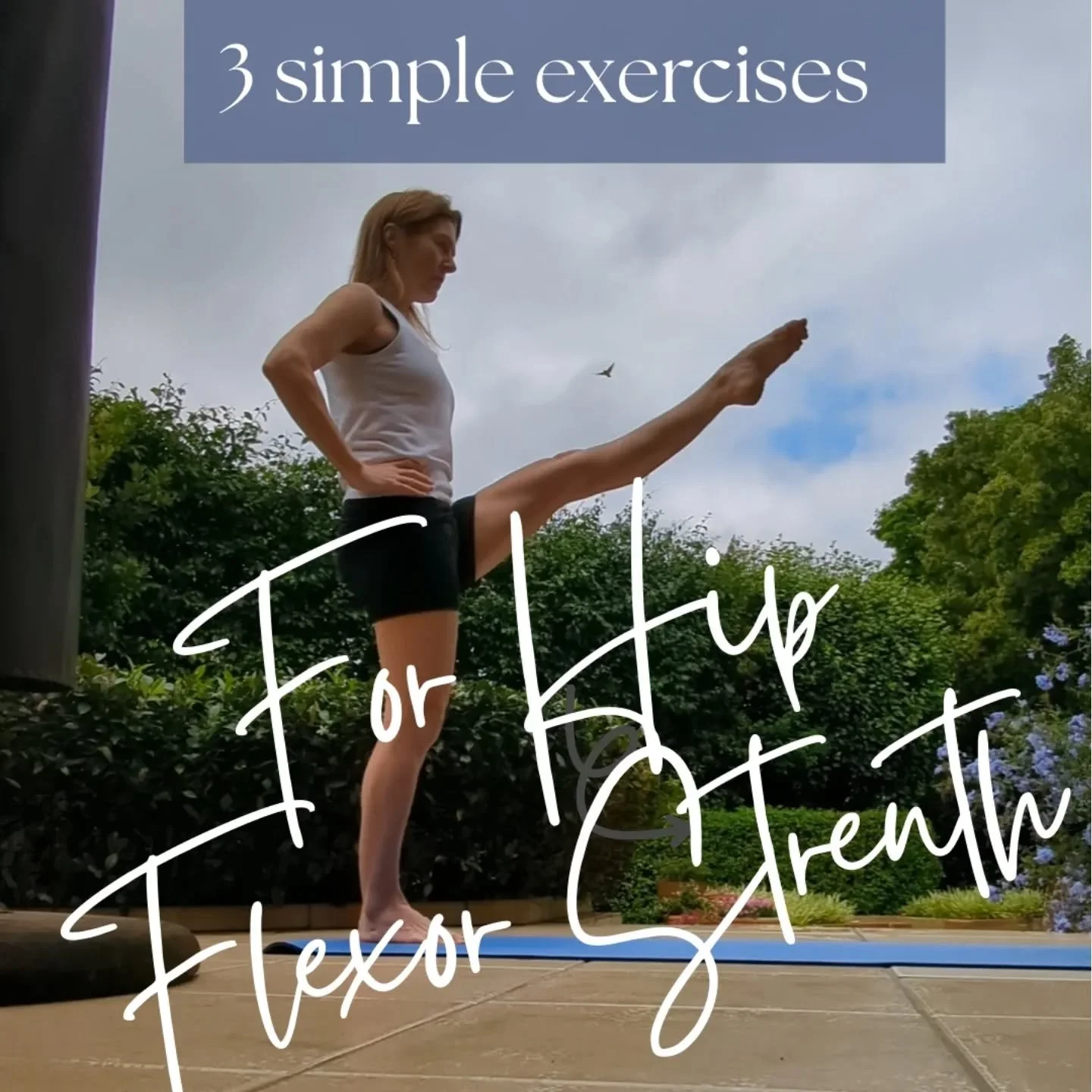 I&rsquo;ve been seeing a big increase in hip flexor and adductor pain in my acupuncture clinic lately &mdash; everything from sports injuries to overzealous adjustments.

Here are&nbsp;3 simple exercises&nbsp;to help build strength. (See my previous 