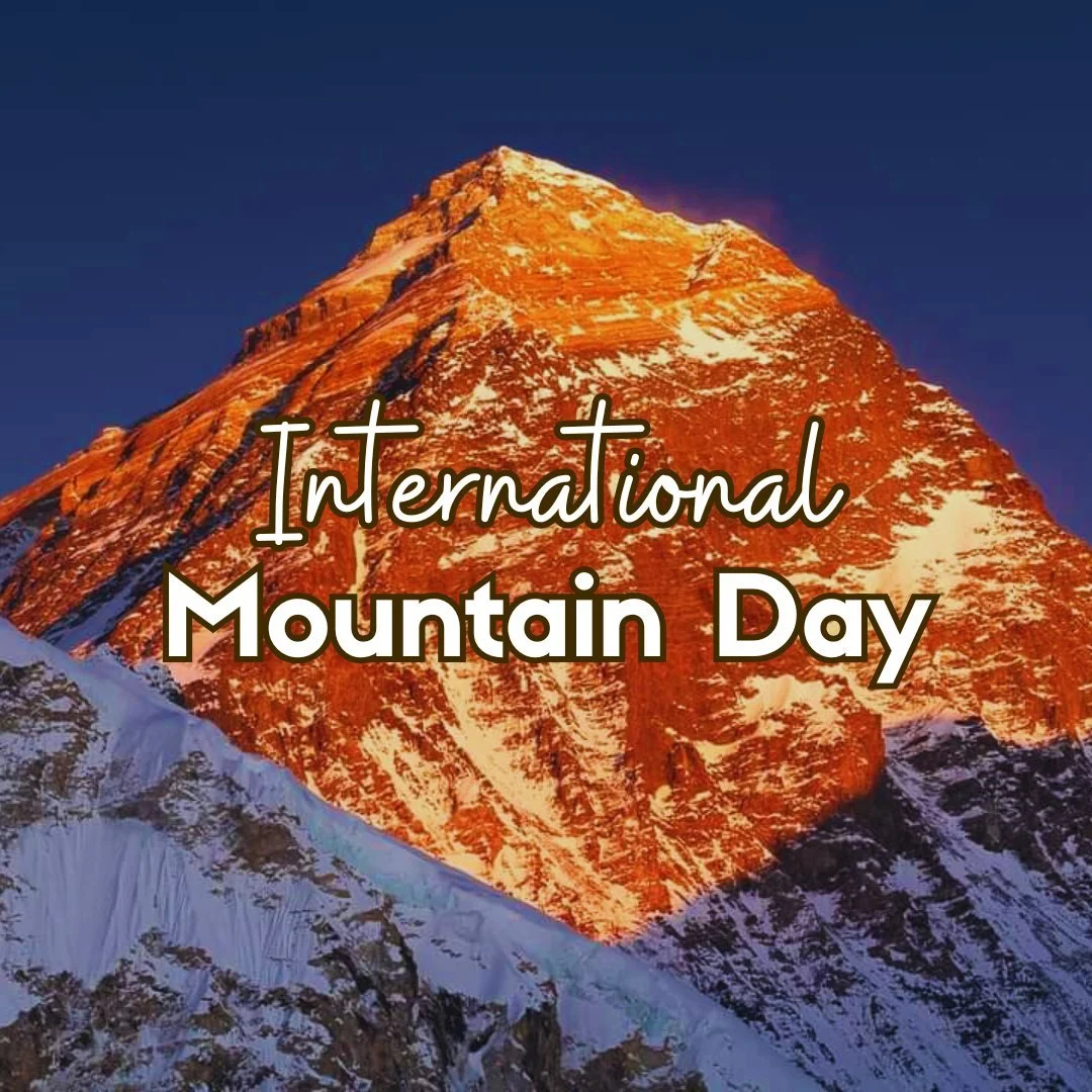 🏔 International Mountain Day
&hellip;and a reminder that not all mountains look like snow-capped peaks.

Some of them look like:
&ndash; getting on your mat when your mind tells you not to
&ndash; opening your heart when it feels easier to close
&nd