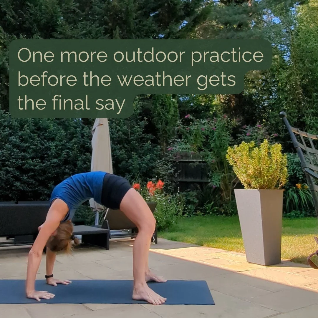 Indoors or outdoors?

#ashtanga #ashtangavinyasa #backbendchallenge #wearewoking #igyyoga
