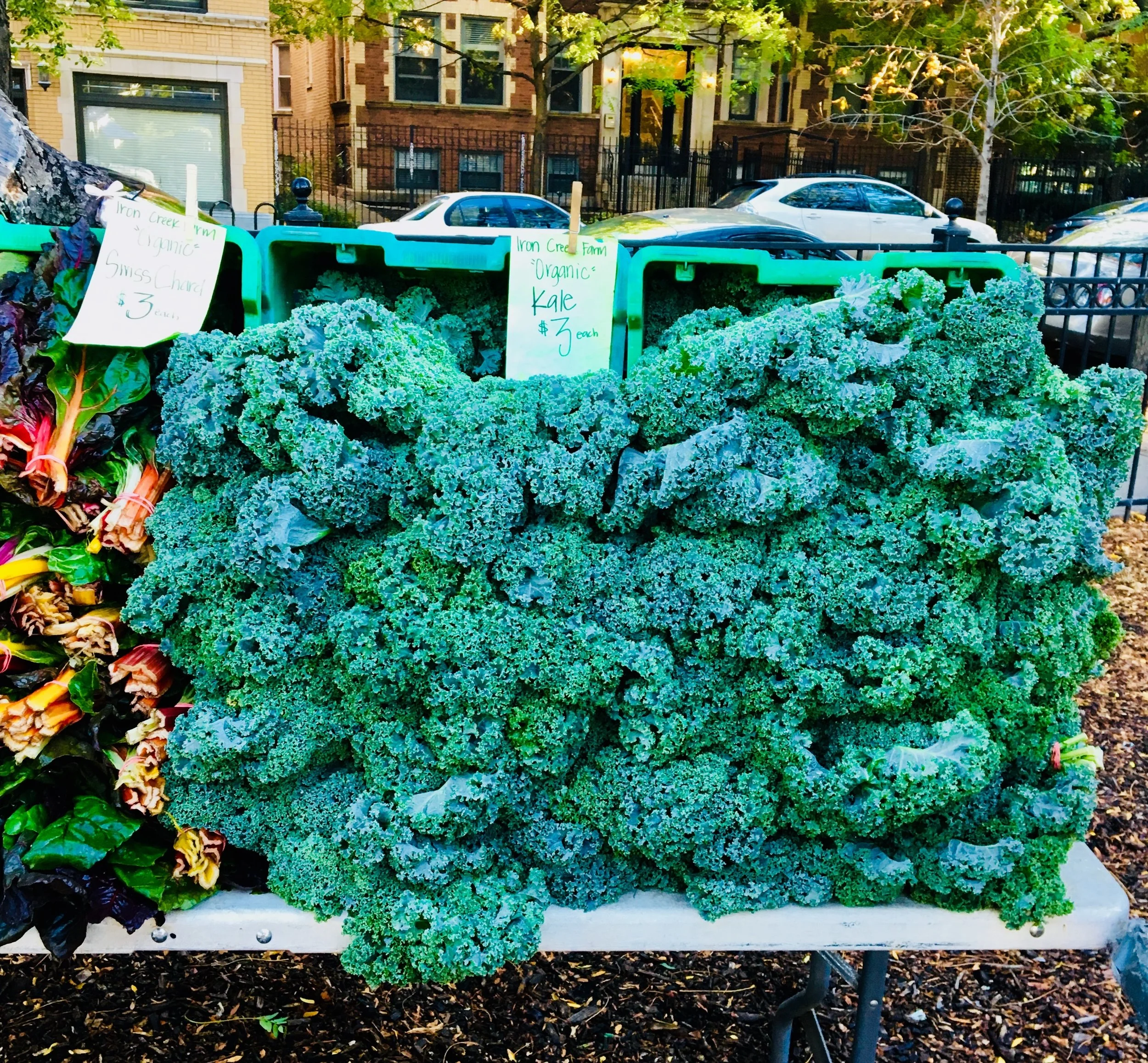 KALE.jpg