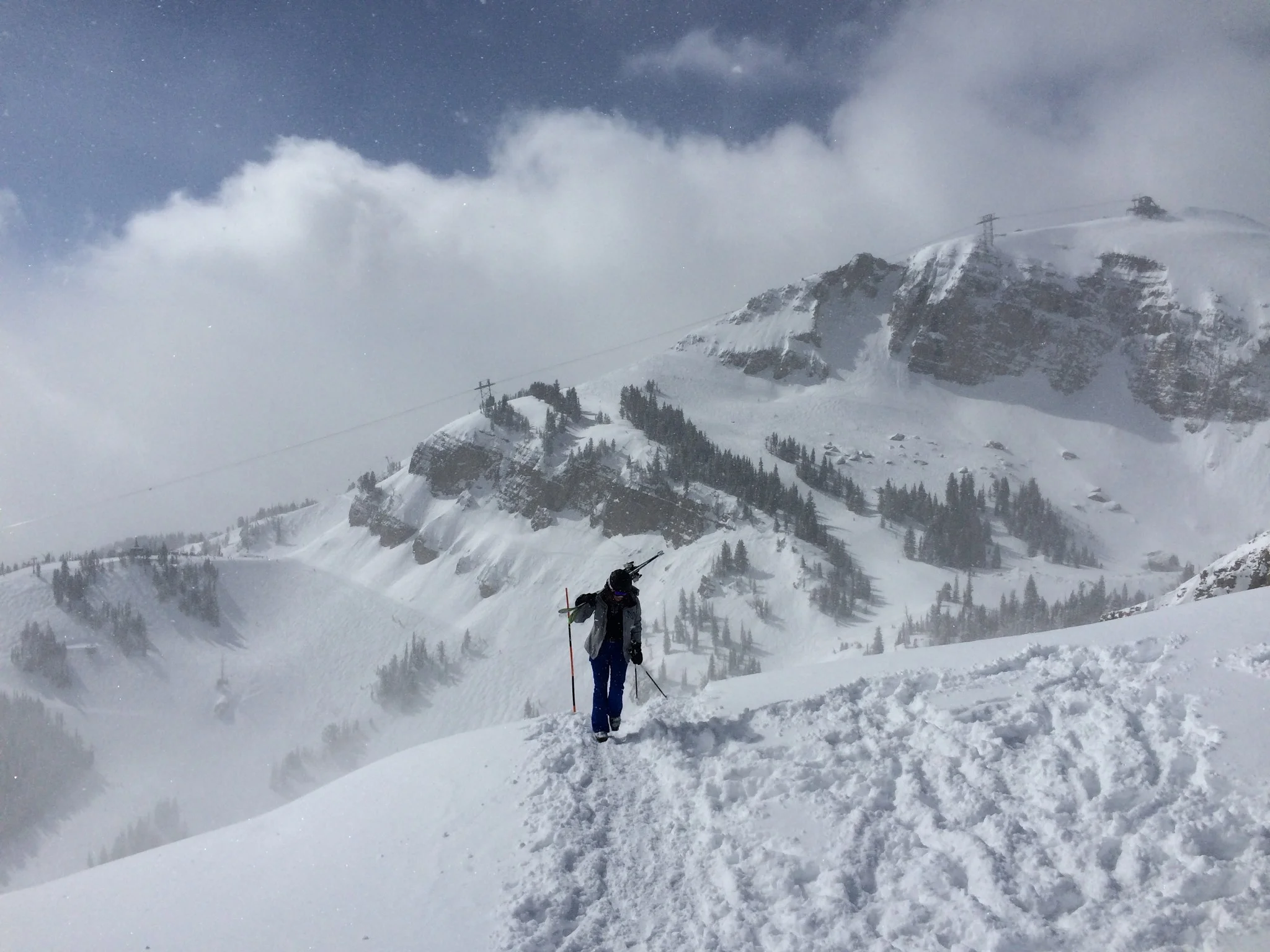 Jackson Hole Rentals