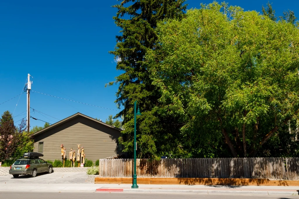 Jackson Hole Rentals