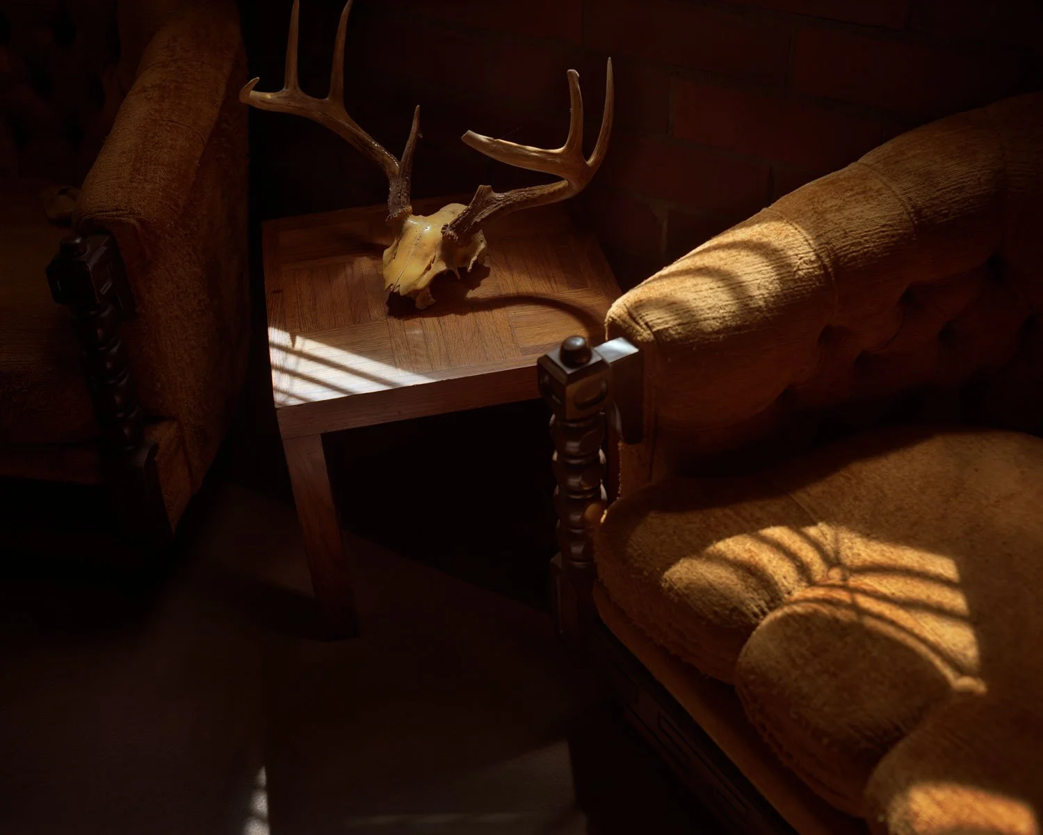 untitled_deer_antlers.jpg