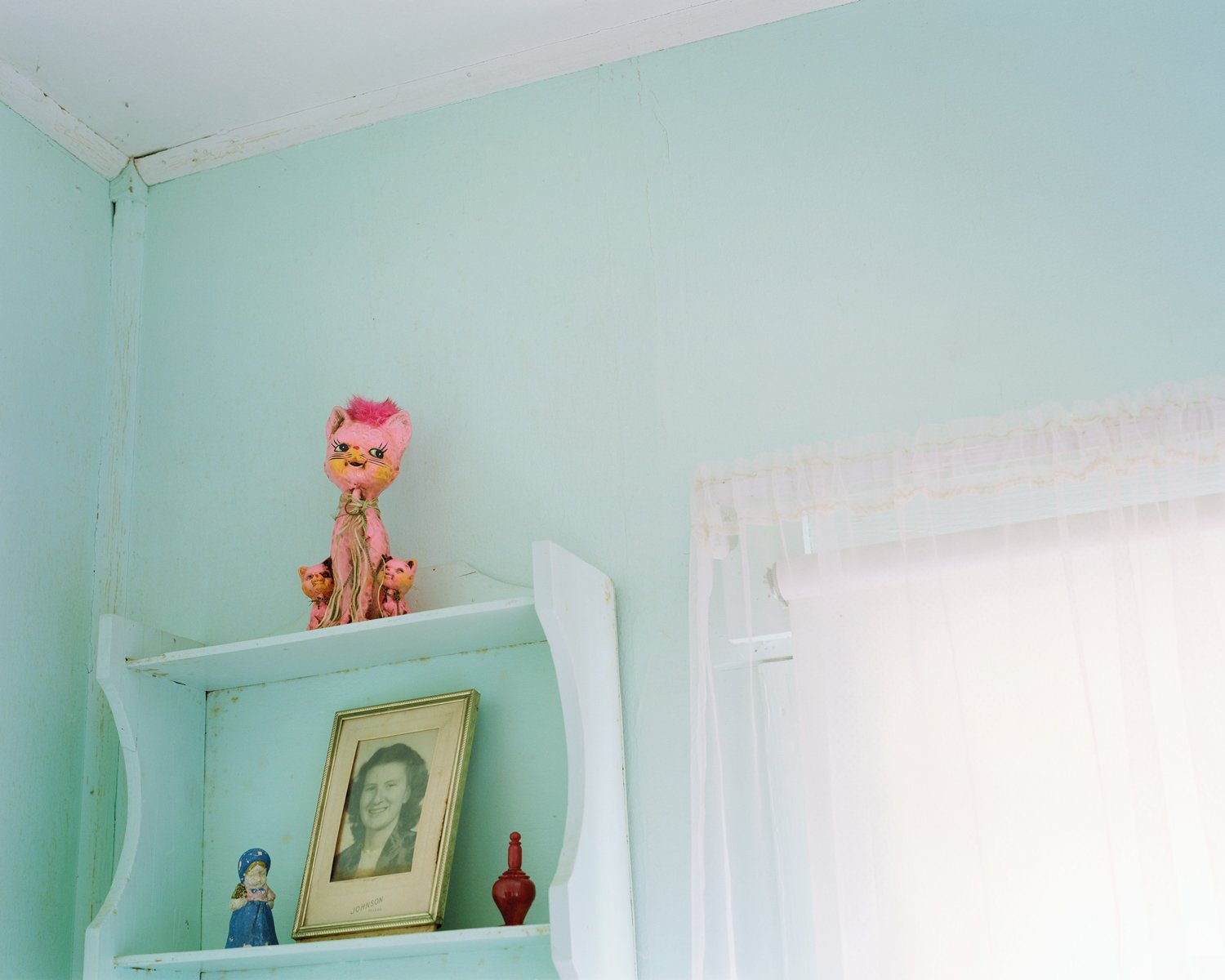 untitled_pink_cat.jpg