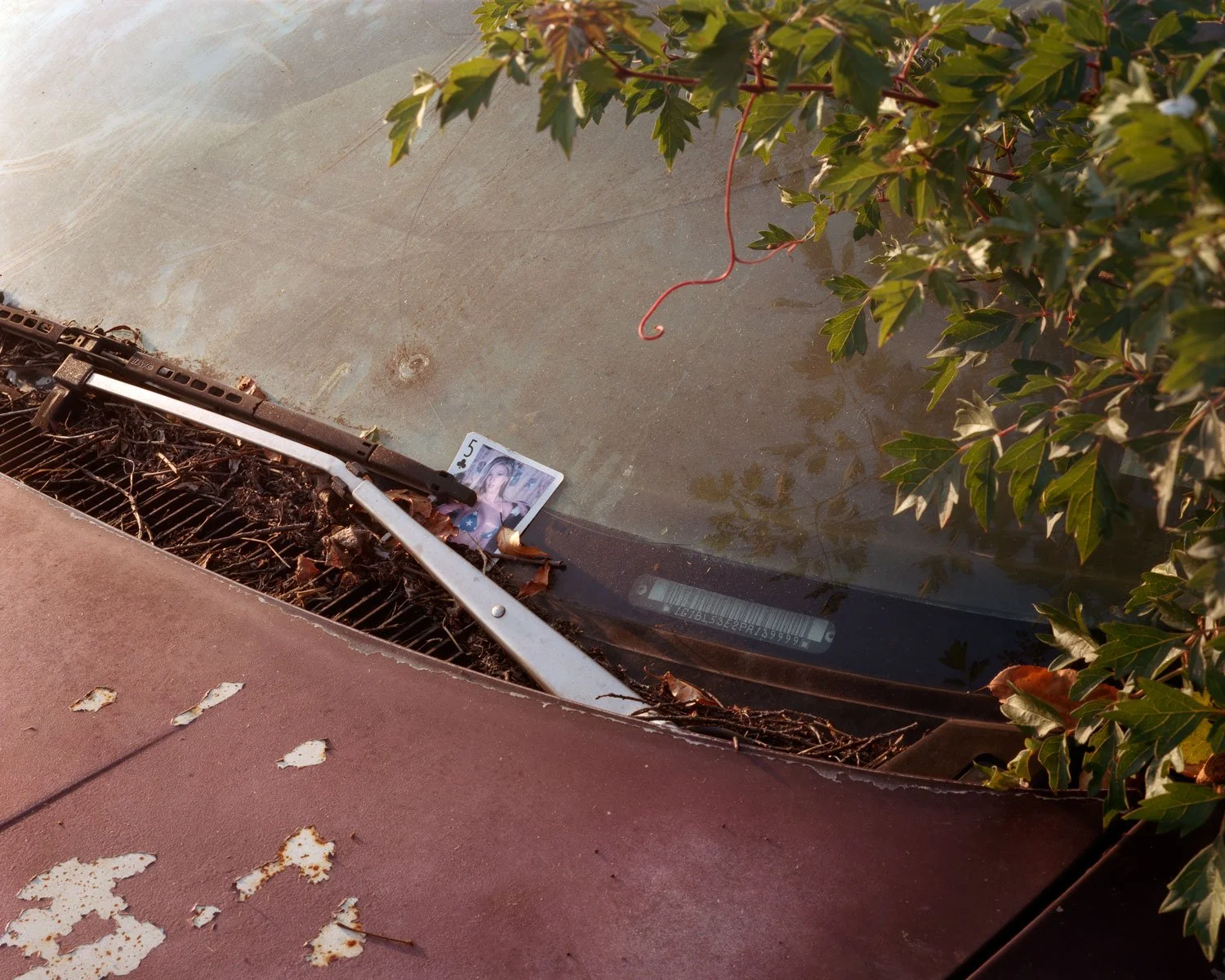 untitled_red_car.jpg