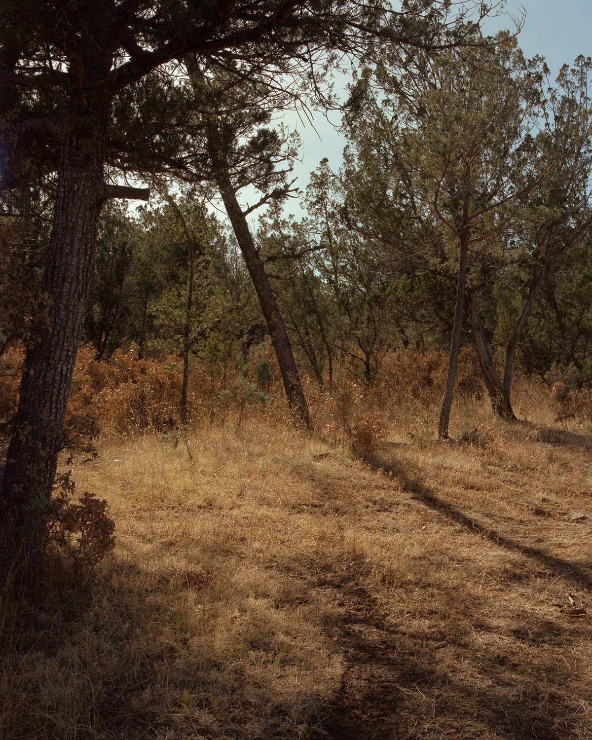 John-Tunstall-Murder-Site-III-(Web).jpg