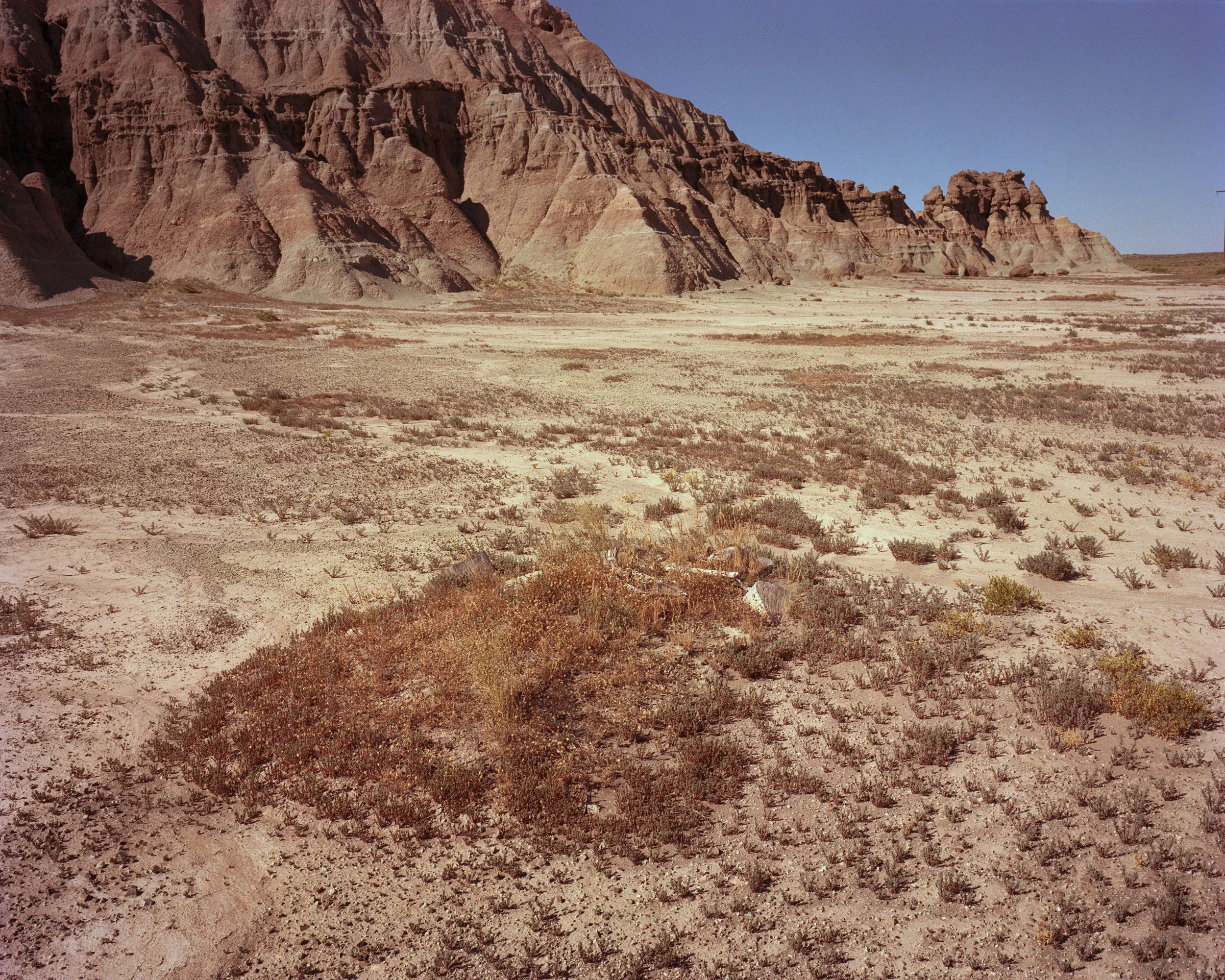 Brown_ATGIG_06.jpg