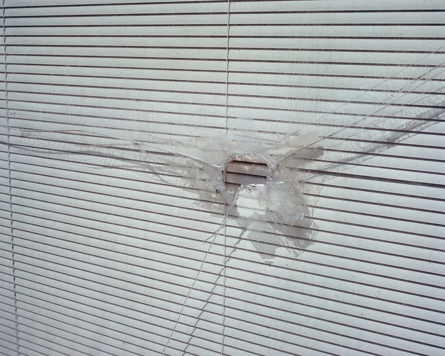 Window, Yazoo City, Mississippi (working).jpg