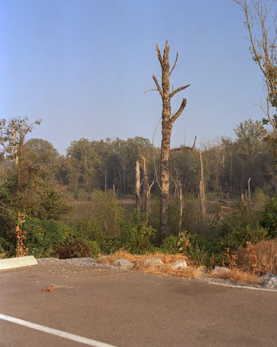 Terrene Landing, Rosedale, Mississippi (Working).jpg