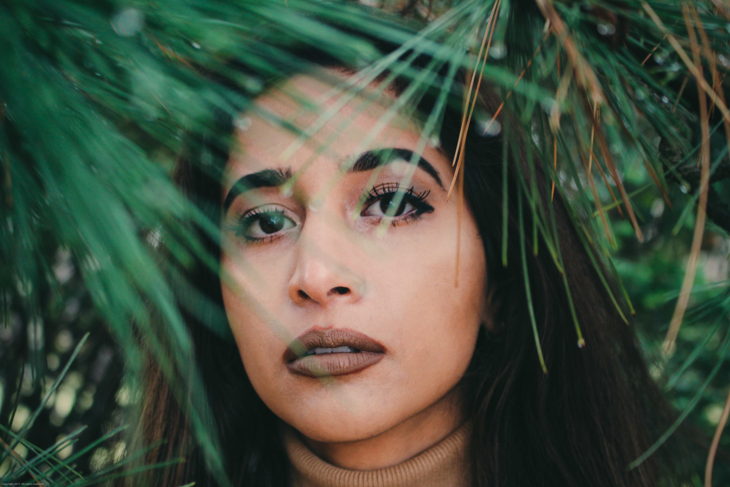 See Through Nature
