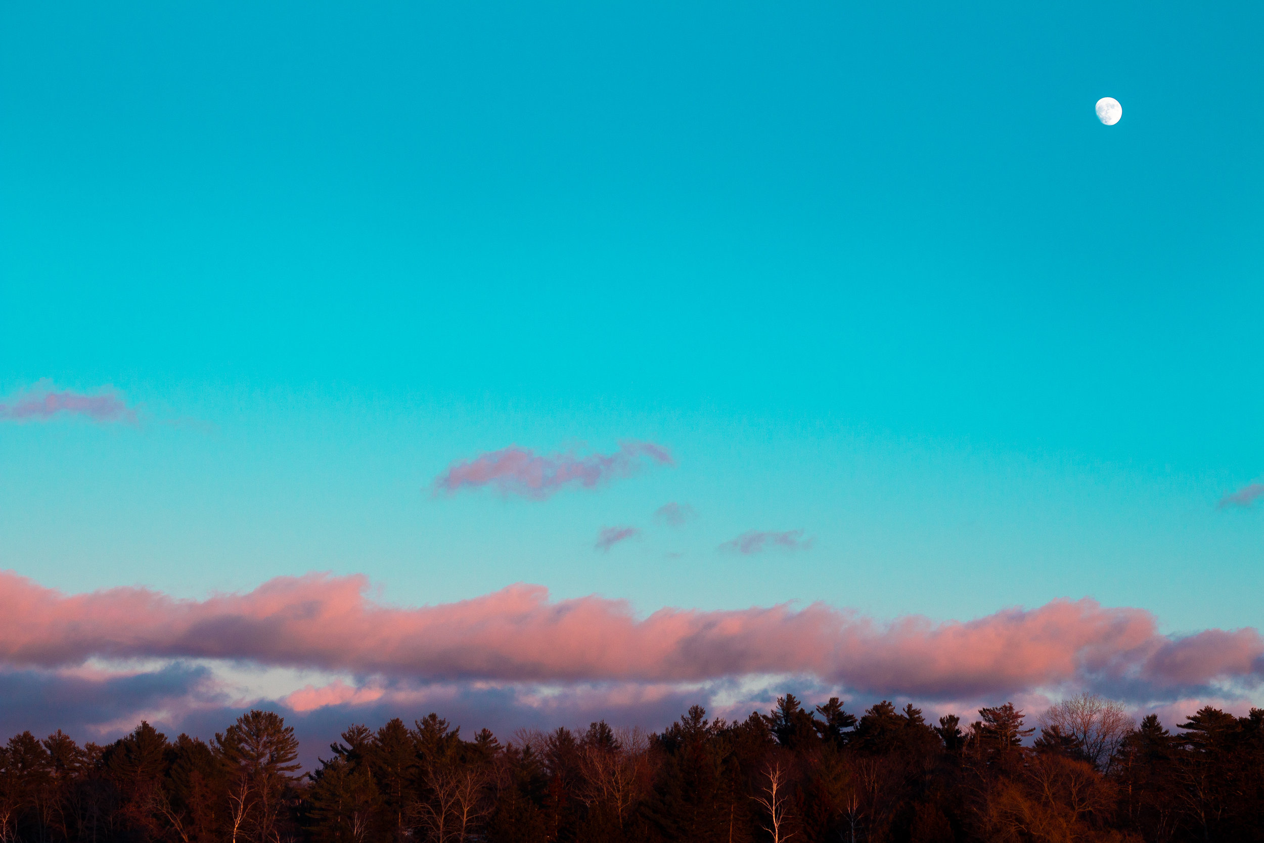 Up North