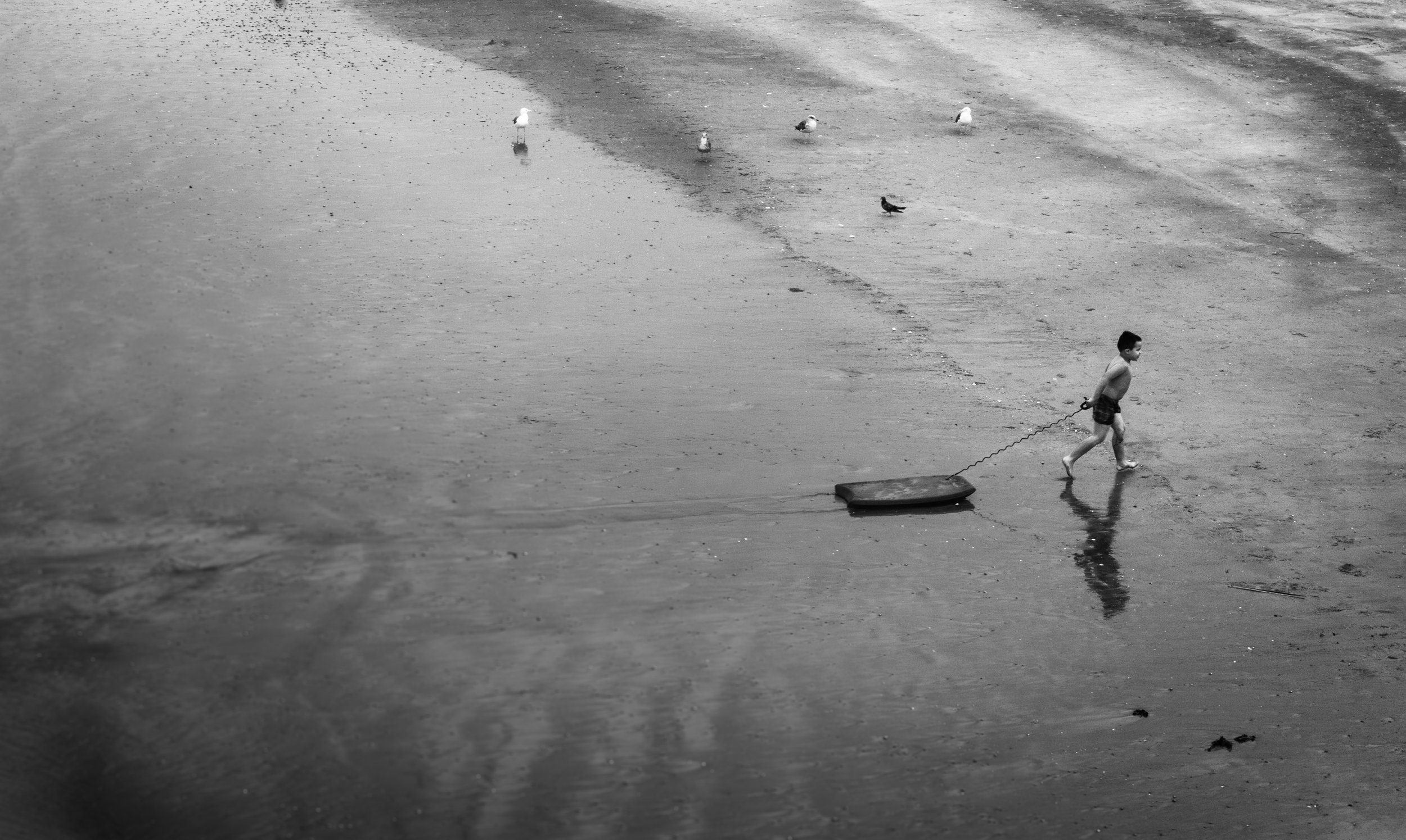 Wave Rider