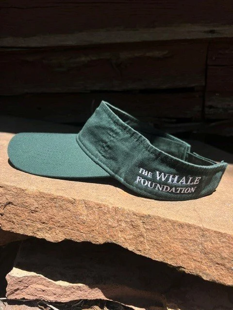S26 Visor green side.jpg