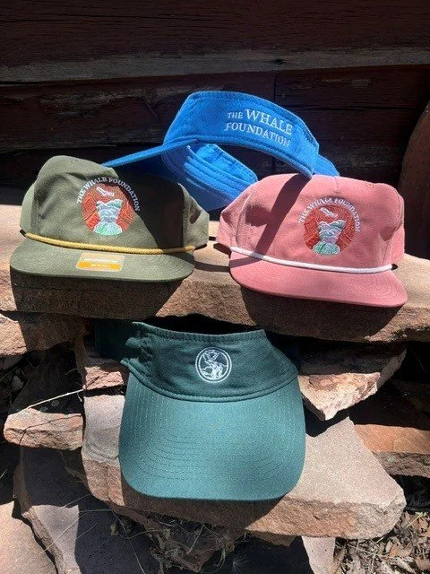 S26 hat collection.jpg