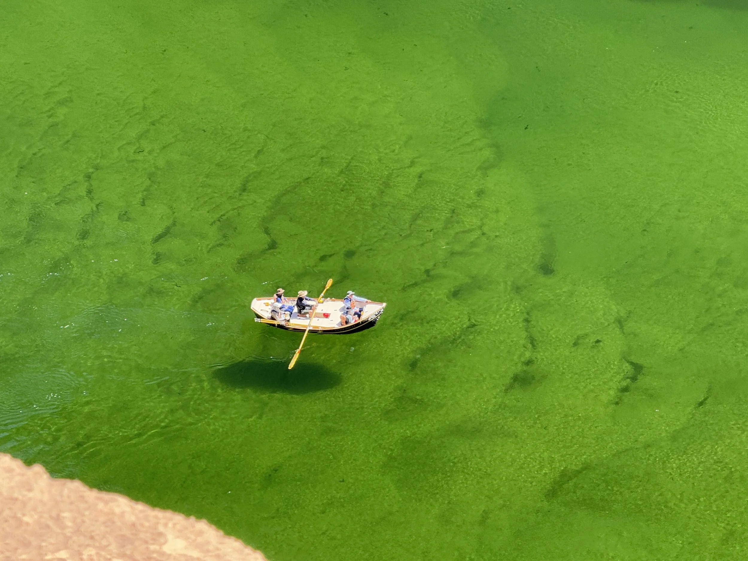 IMG_1494 - Sueanne Kubicek.JPG