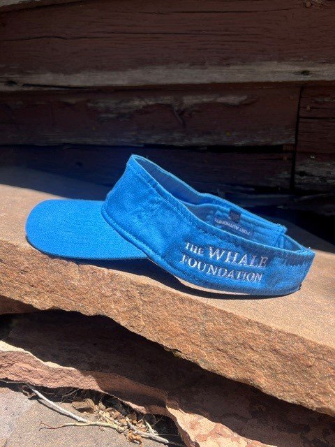 S26 Visor blue side.jpg