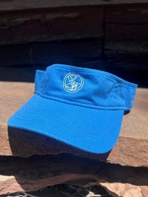 S26 Visor blue front.jpg