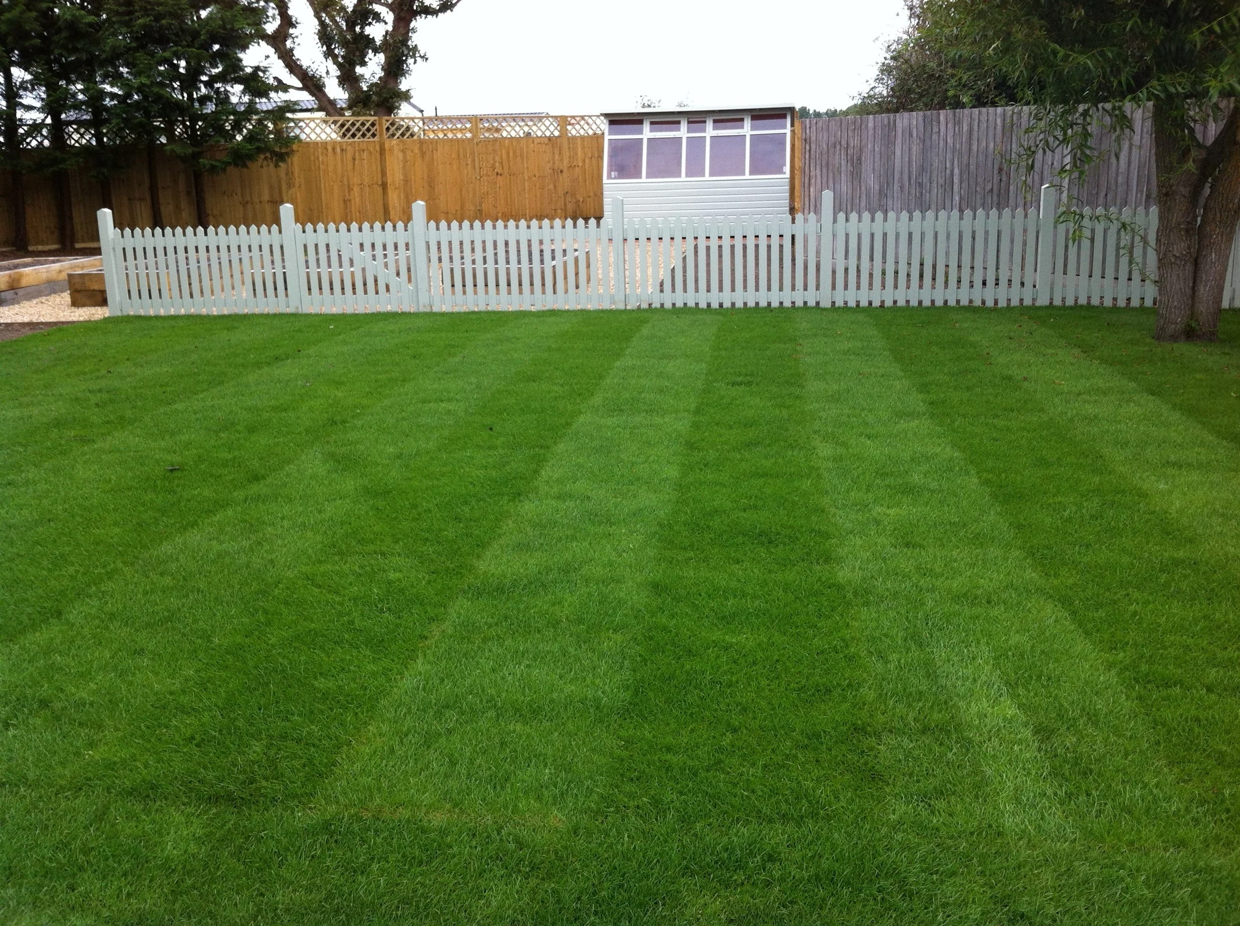 Artificial Lawns and Turf