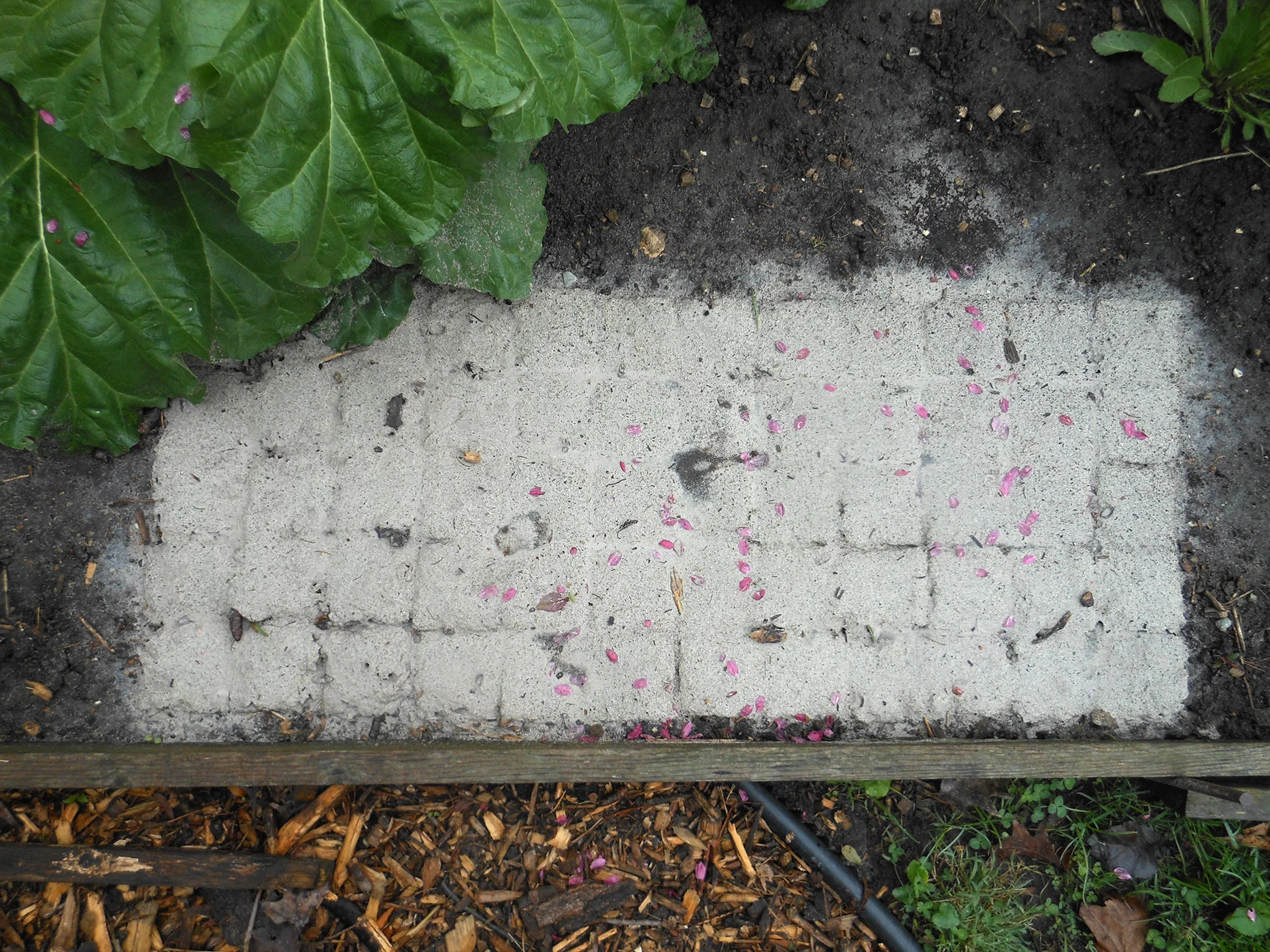 5 5.2.16 tiles.jpg