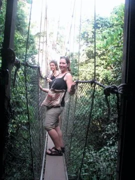 Ghana-tree-canopy-bridge.jpg