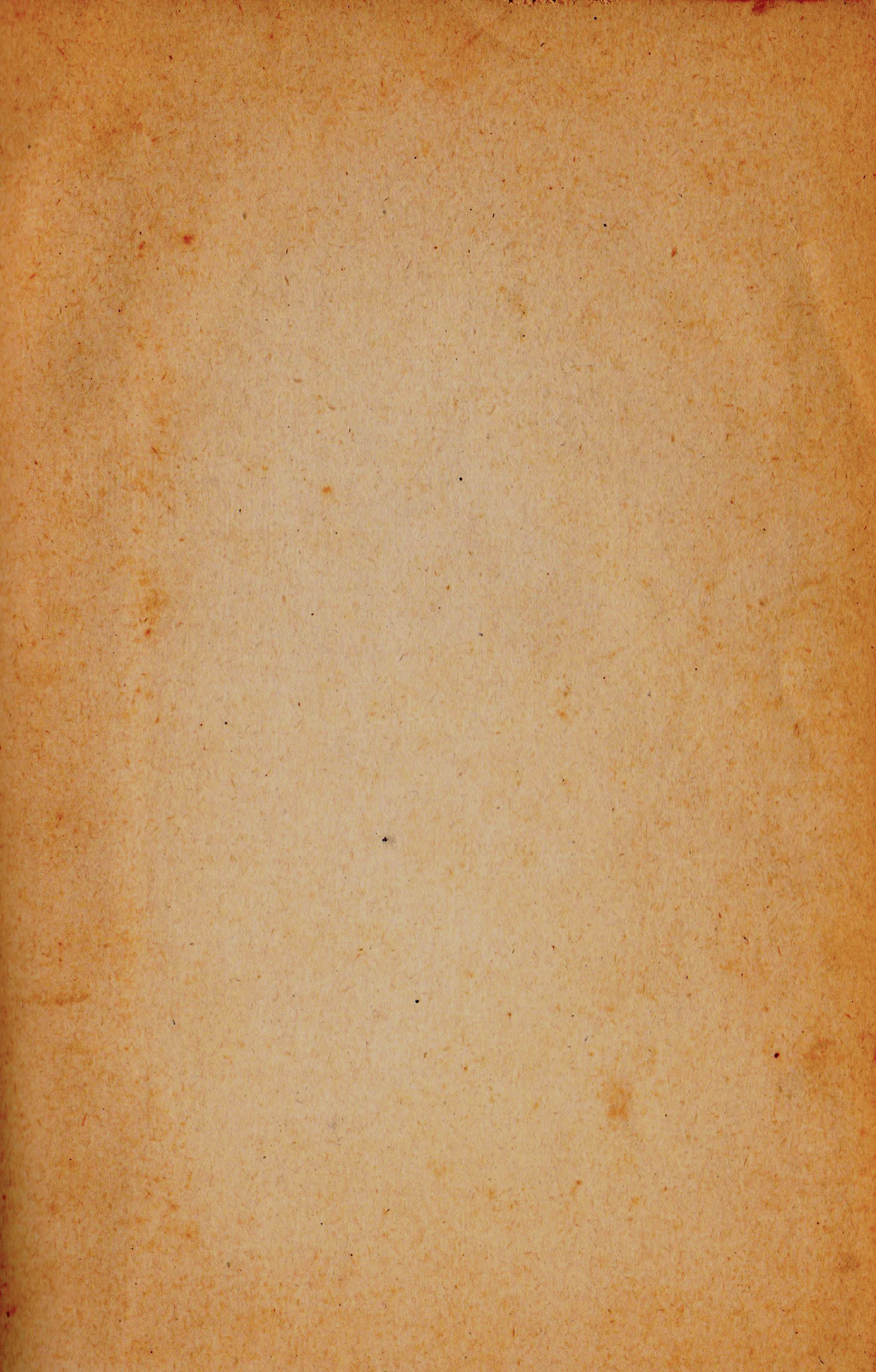 e2333d757b6ff12ab4317320762b2c54 copy.jpg
