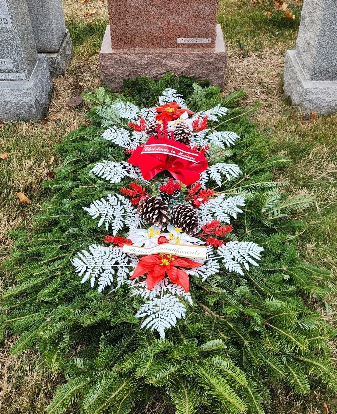 442587001642120198.jpg