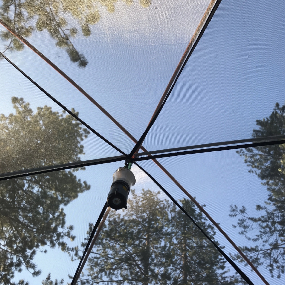 Camping in the yard: Metaphor or must?