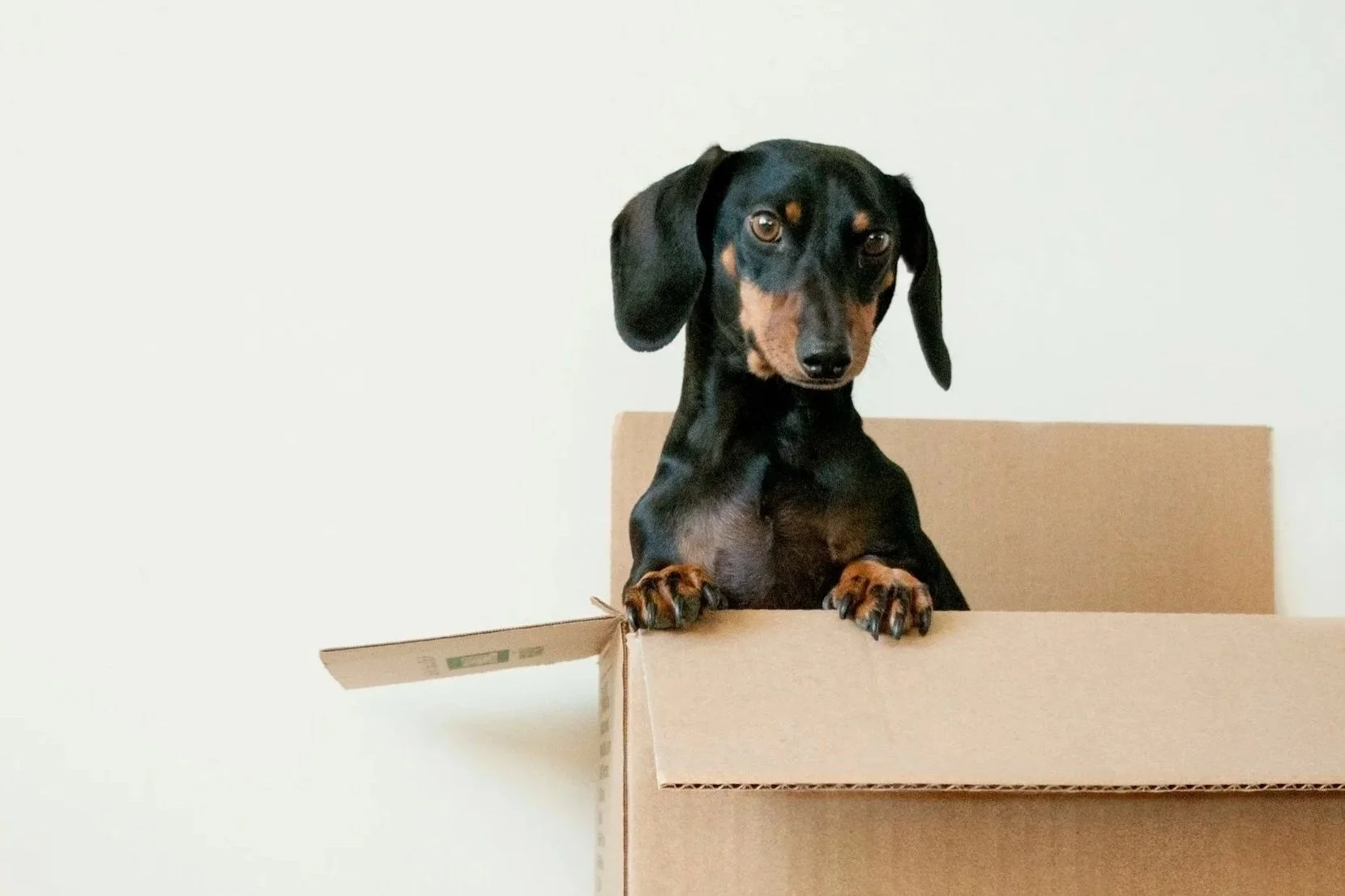 We are (not) our stuff