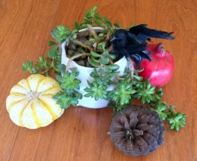 Halloween themed centerpiece created using our existing plant, a tiny pumpkin, a pomegranate, a pinecone we found at the park and a black bird I saved from a Halloween years ago when I dressed at Tippi Hedren from "The Birds."