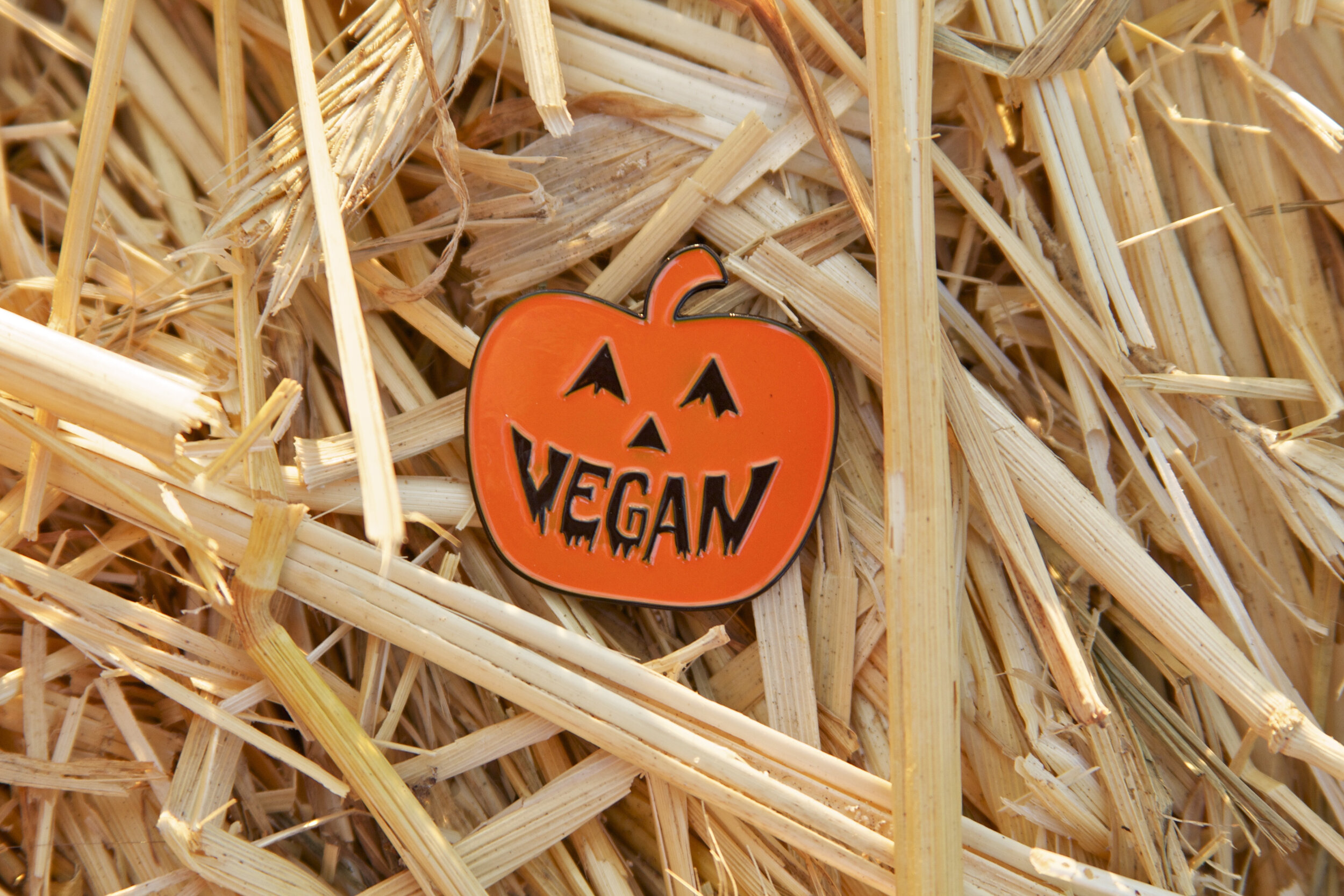 pumpkin pin 1.jpg