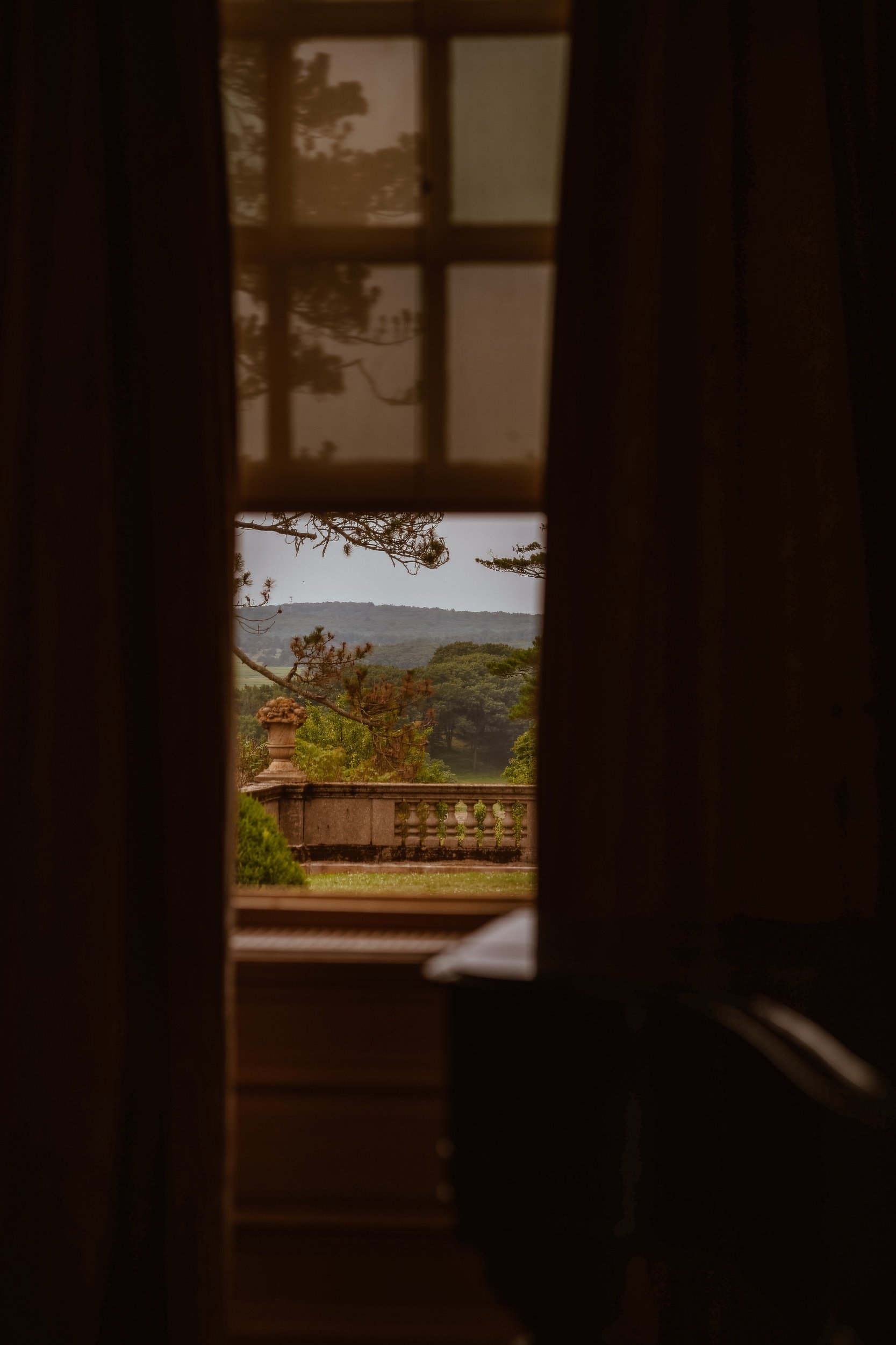 processed_7167.jpg