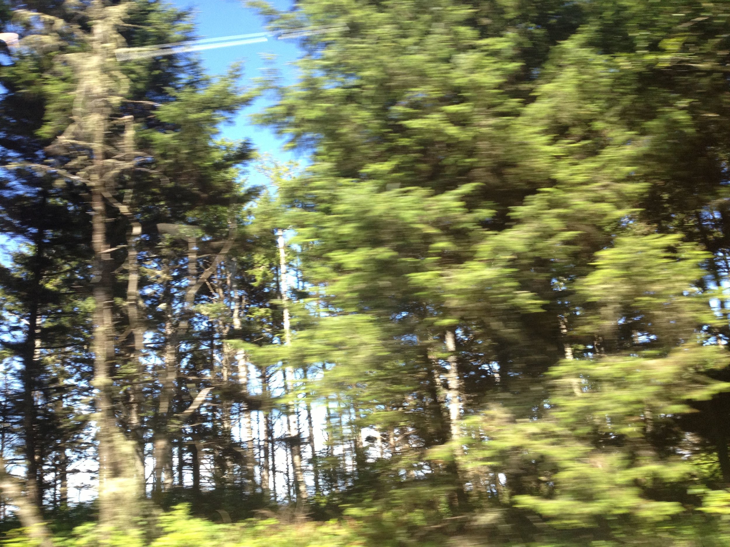 background3.jpg
