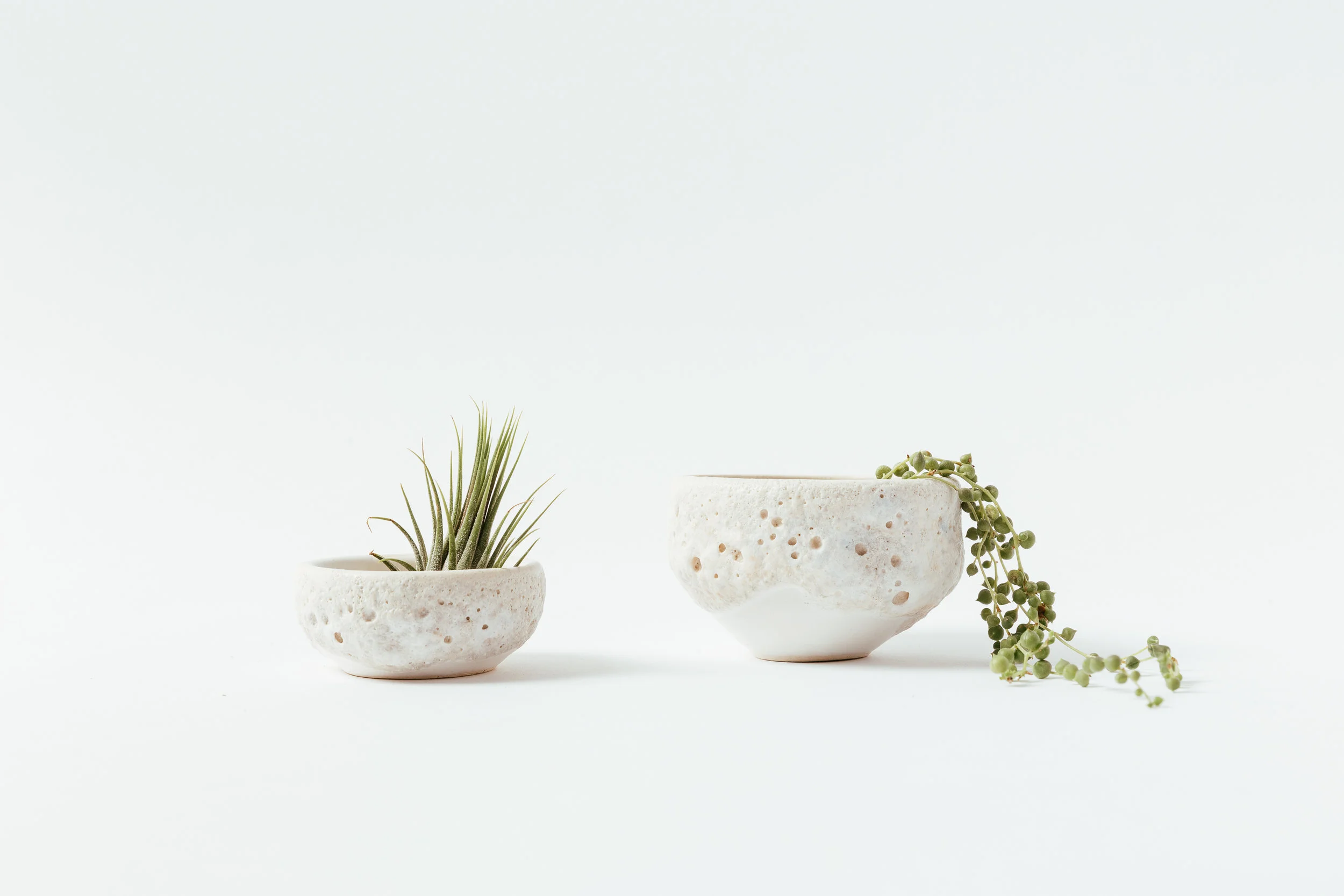 Moon Dishes