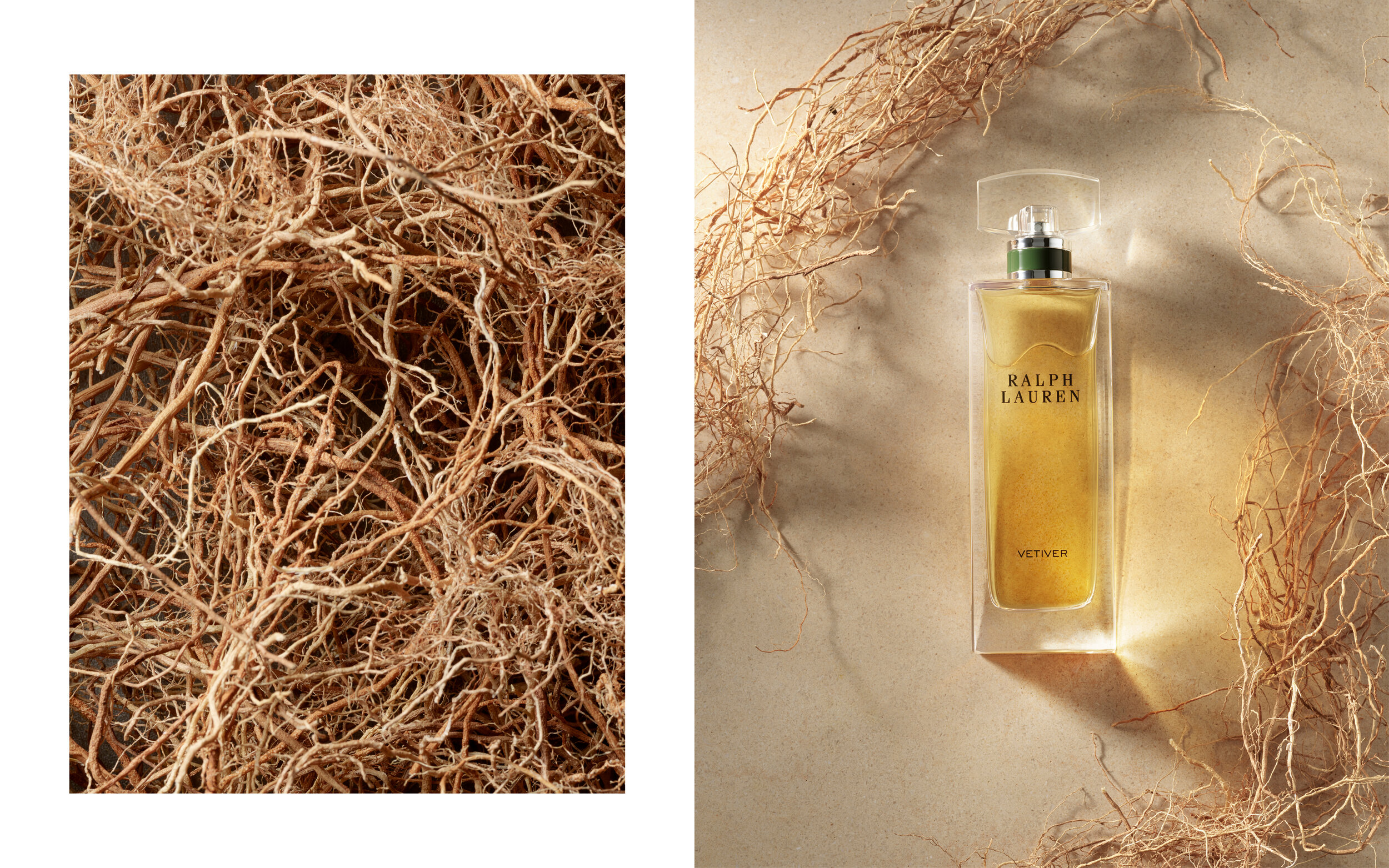Ralph Lauren collection fragrance 3.jpg