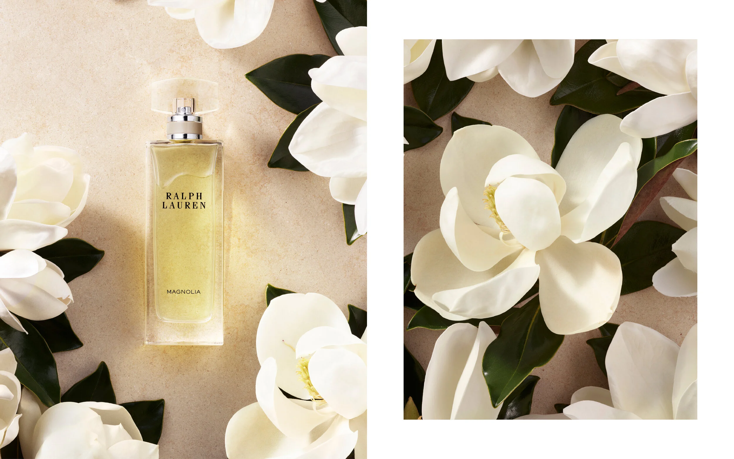 Ralph Lauren collection fragrance 4.jpg