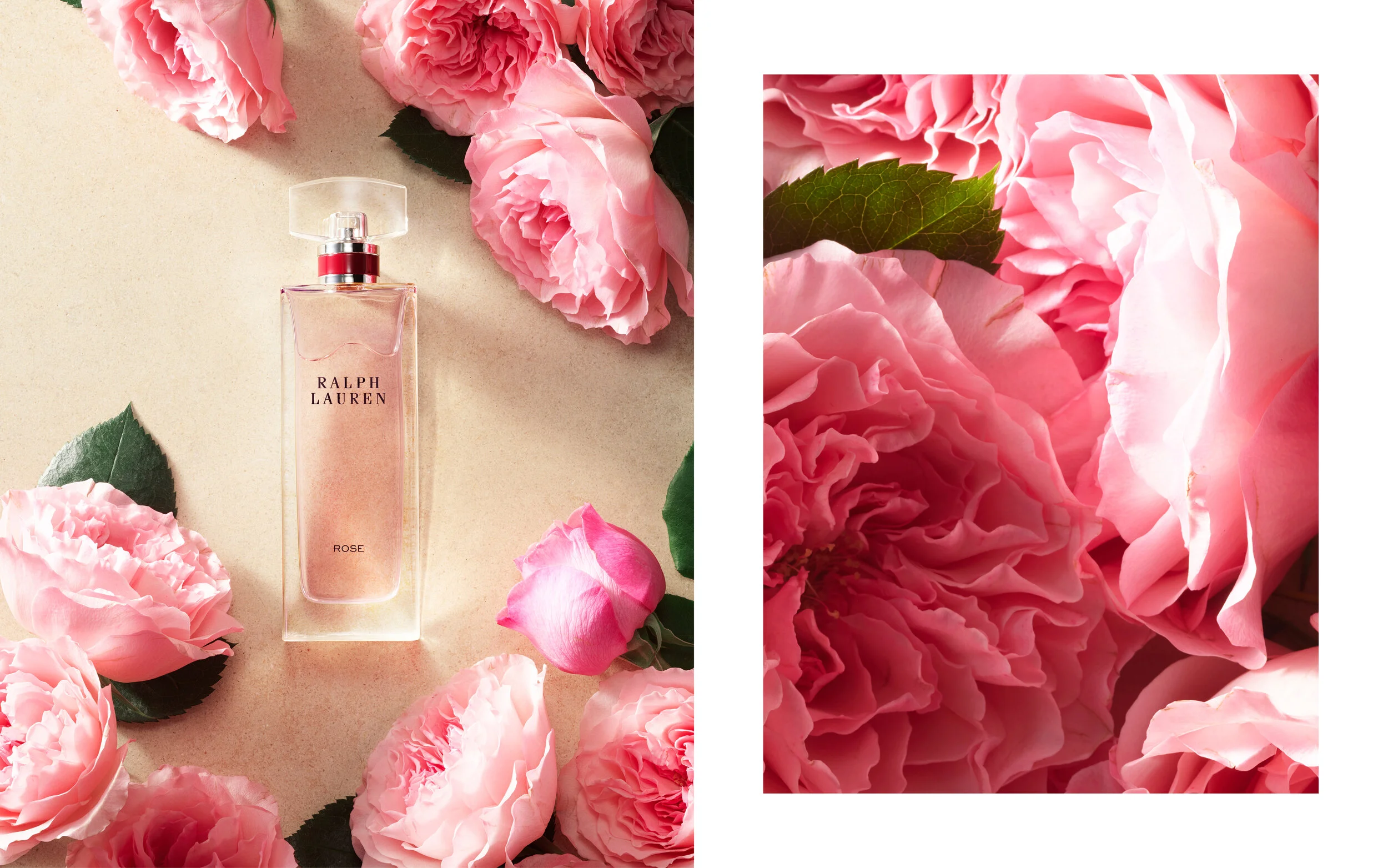 Ralph Lauren collection fragrance 6.jpg