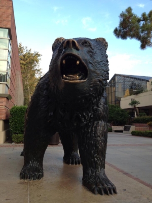 UCLA Bruin Bear
