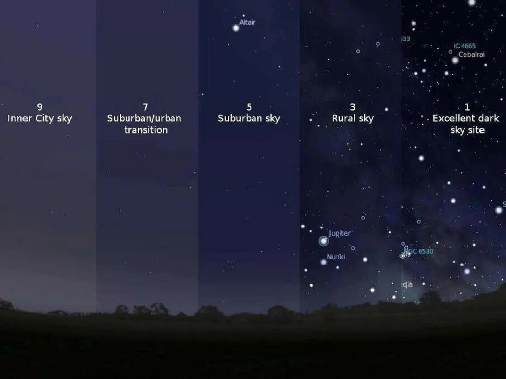 Ida Starry Skies Lake Superior