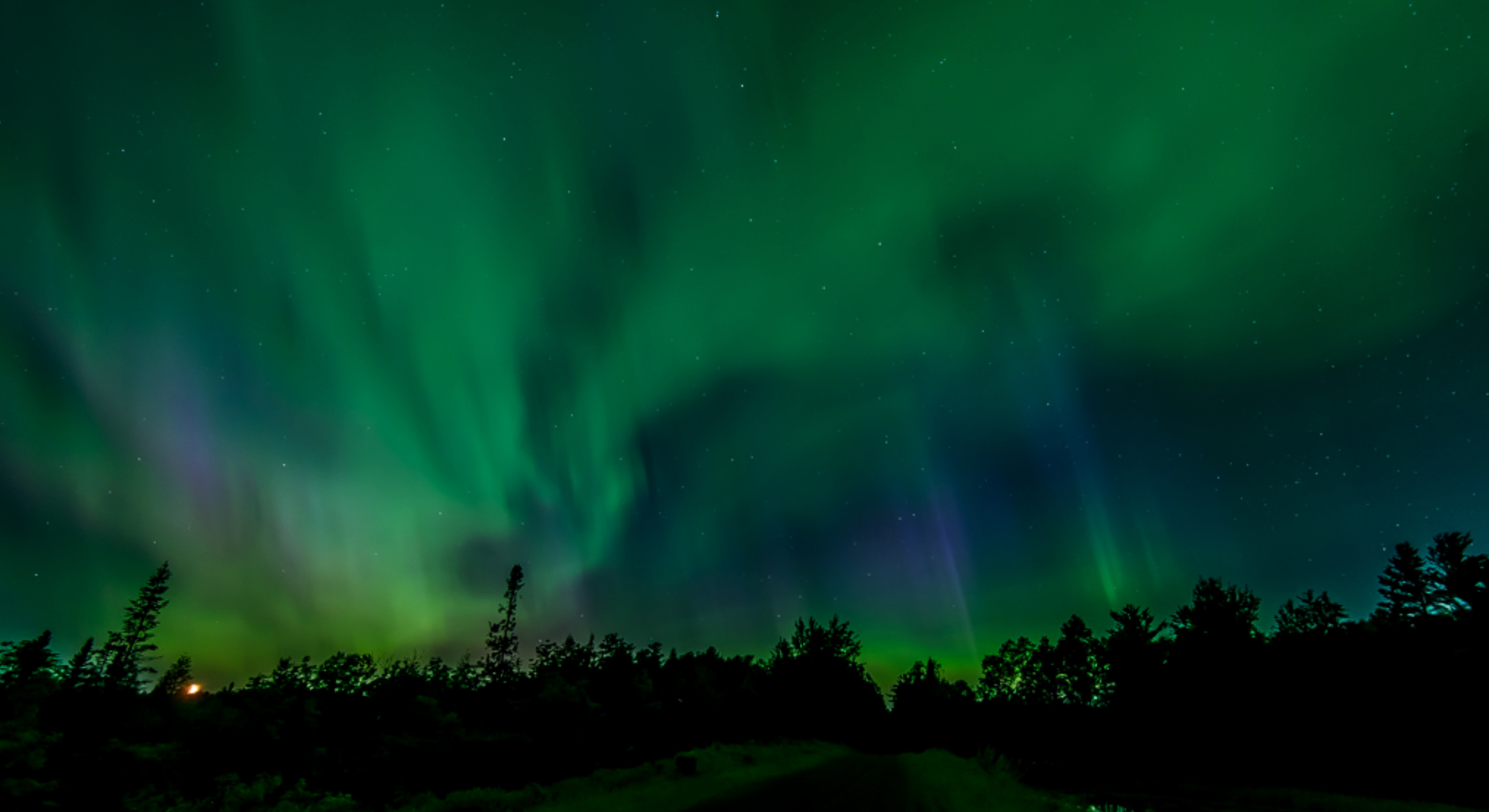 image courtesy Matthew Moses - www.moses-images.com