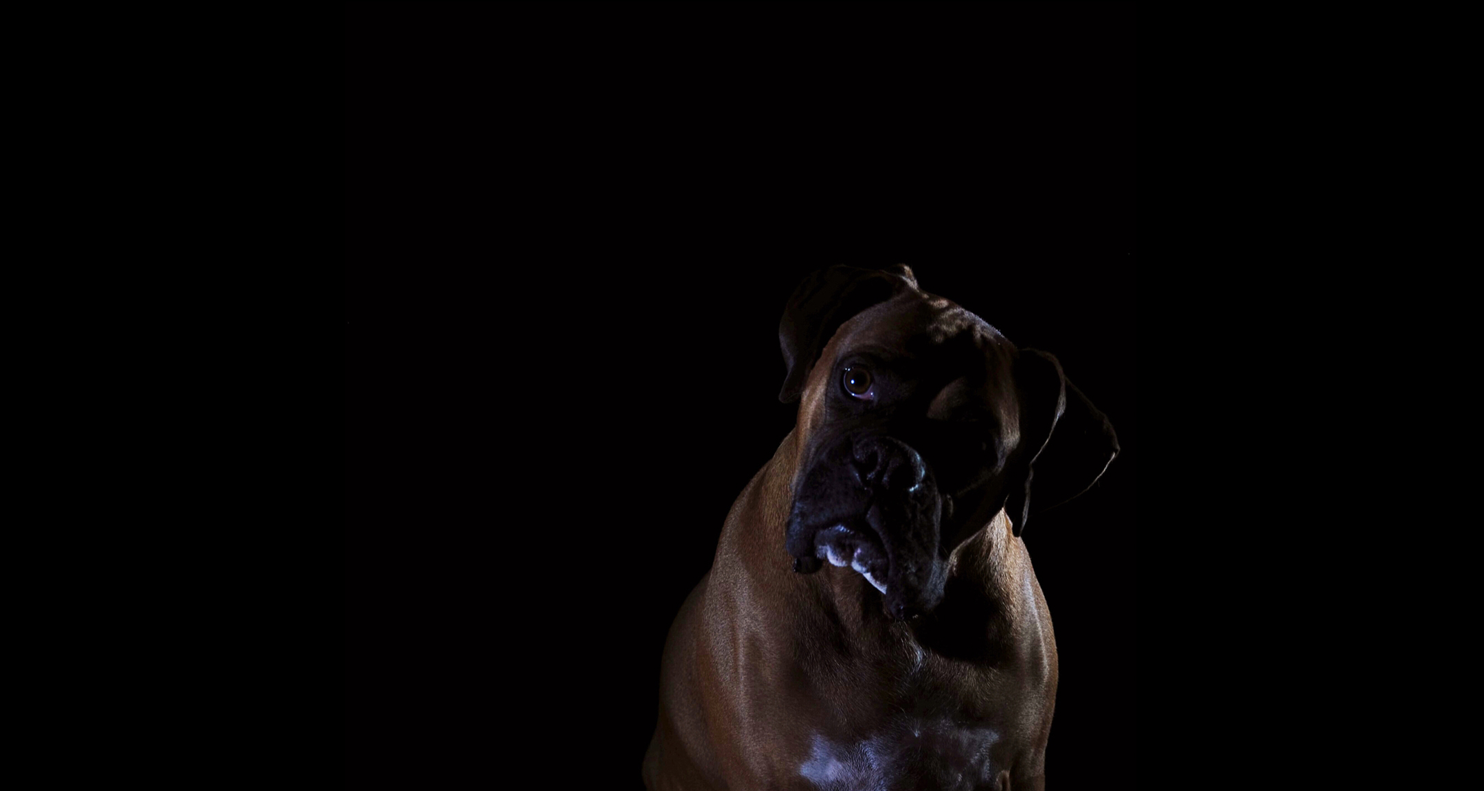 sarge 2 header.jpg