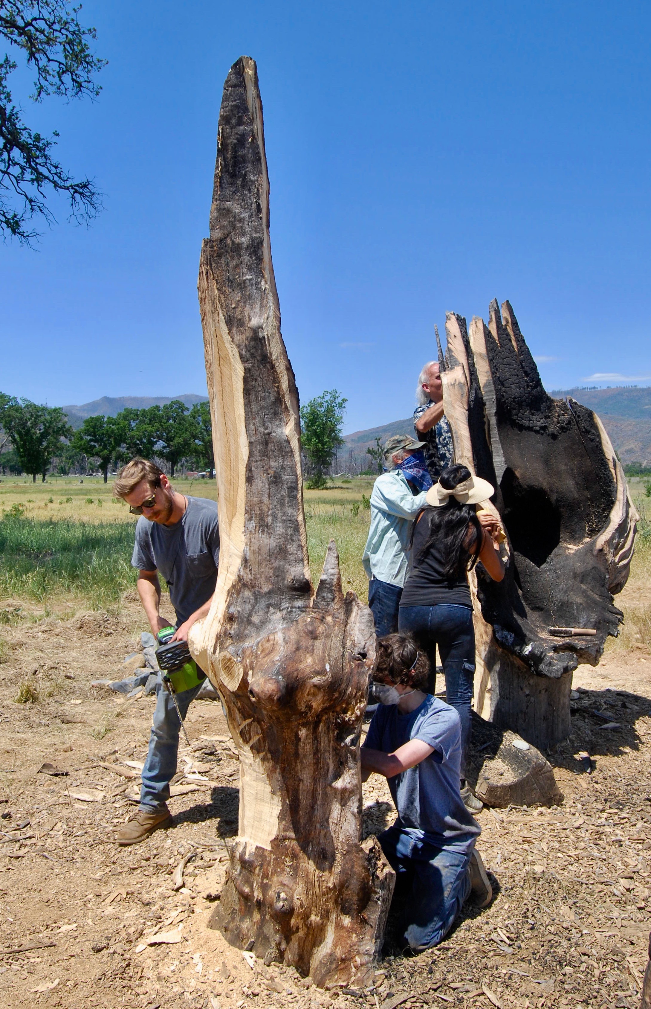 Wood Scuplpture Class.jpeg