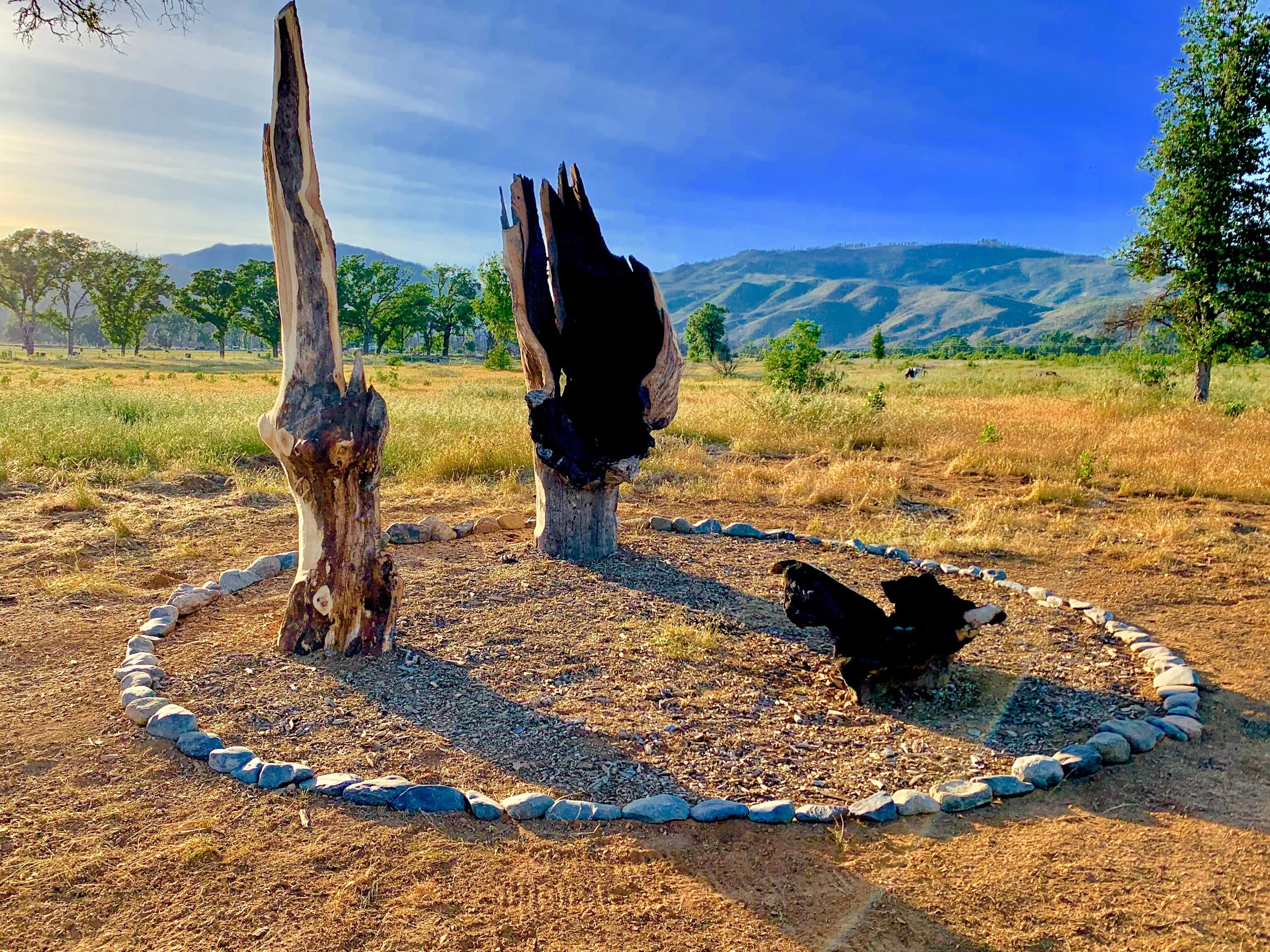 ECO ARTS Sculpture Walk ~ LOCUS a Sense of Place