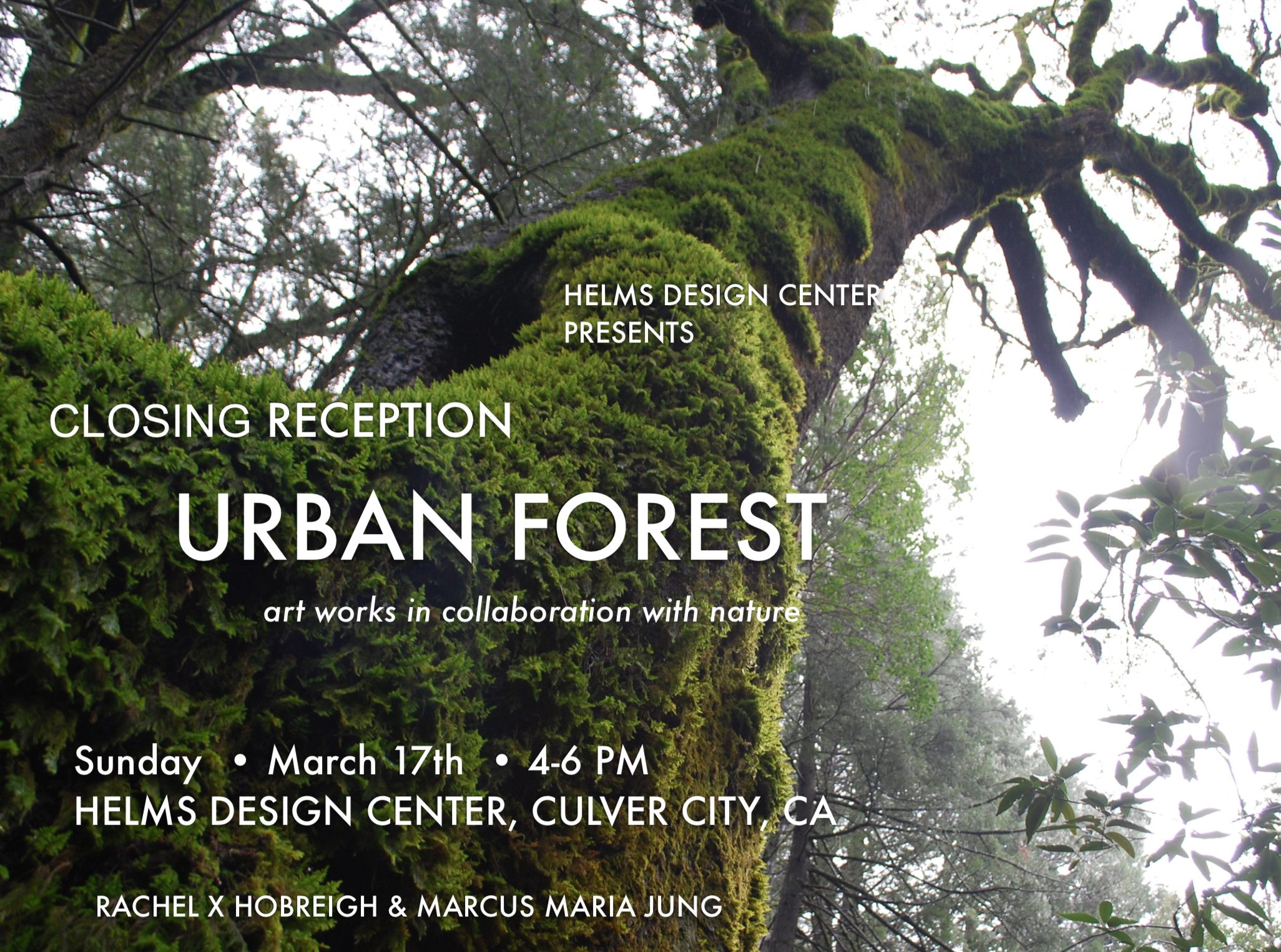 Closing Reception for URBAN FOREST